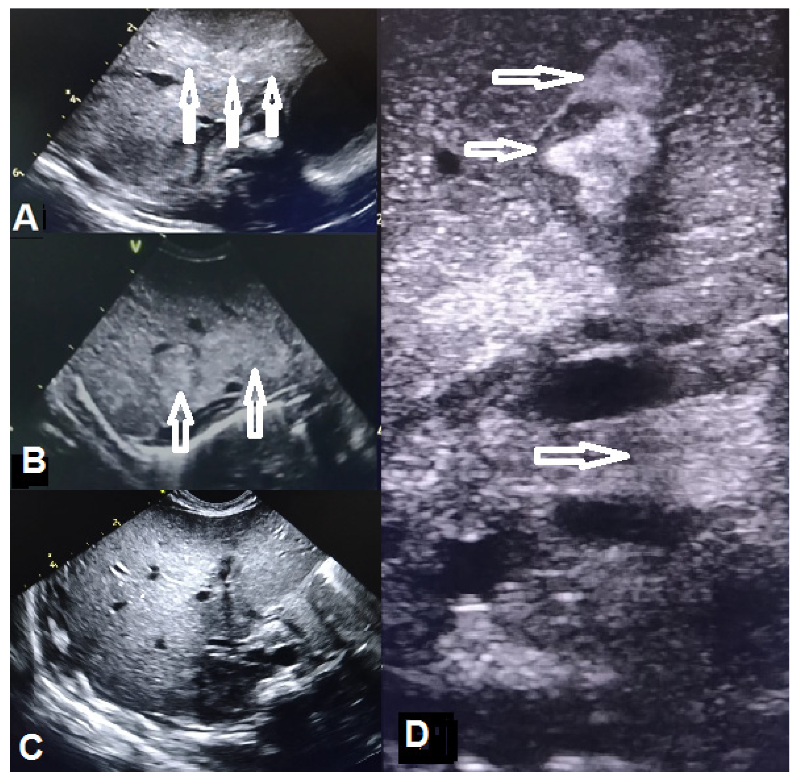 Microorganisms 12 01869 g003