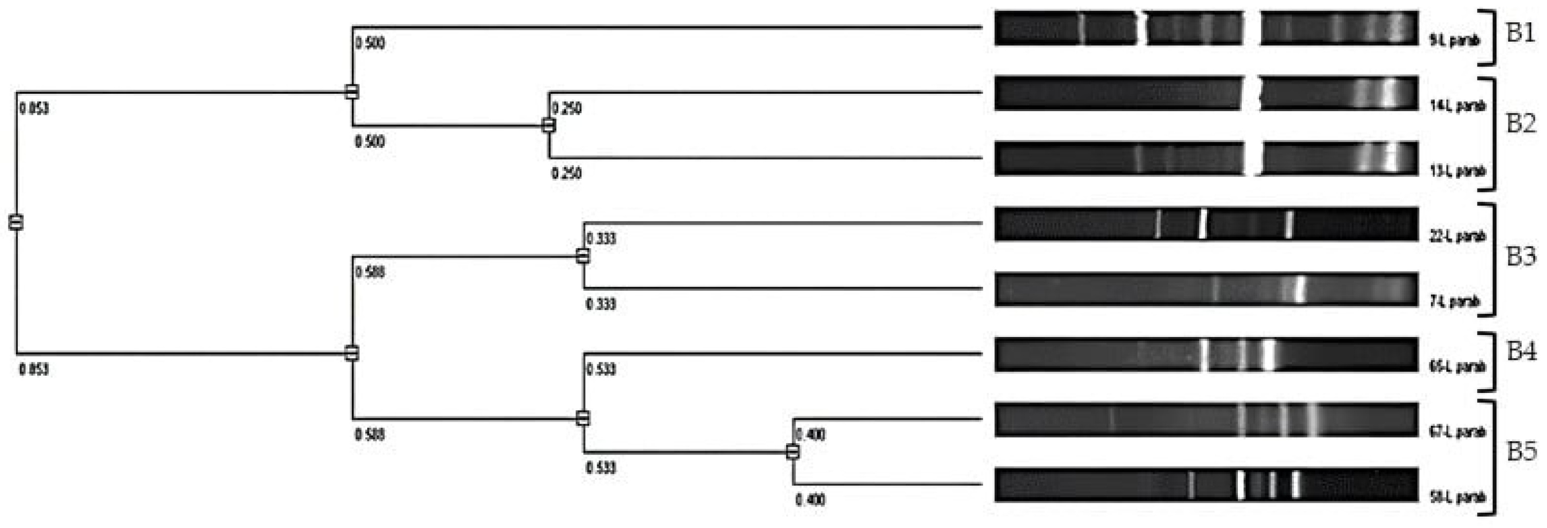 Microorganisms 12 01872 g002