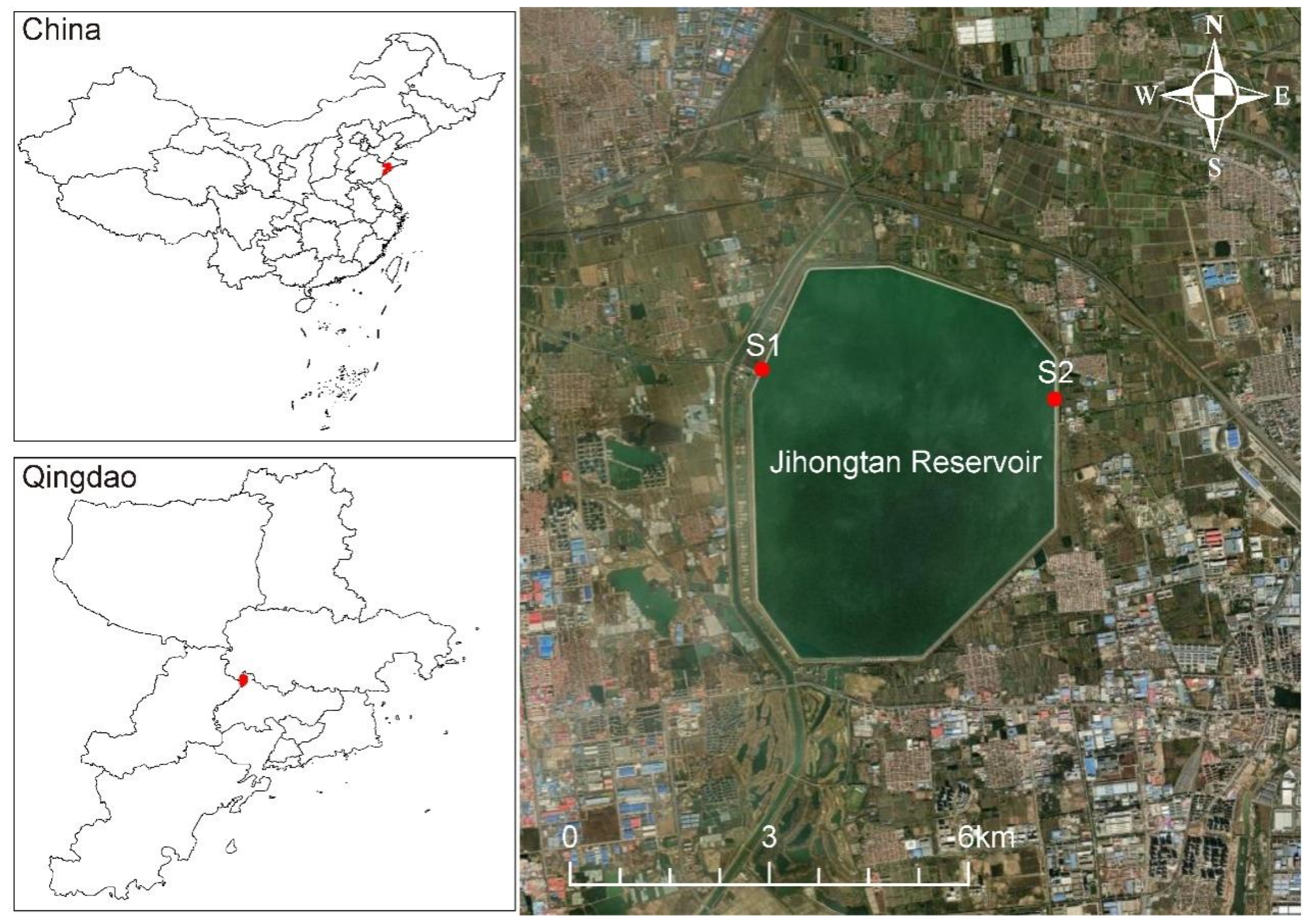 Microorganisms 12 01873 g001