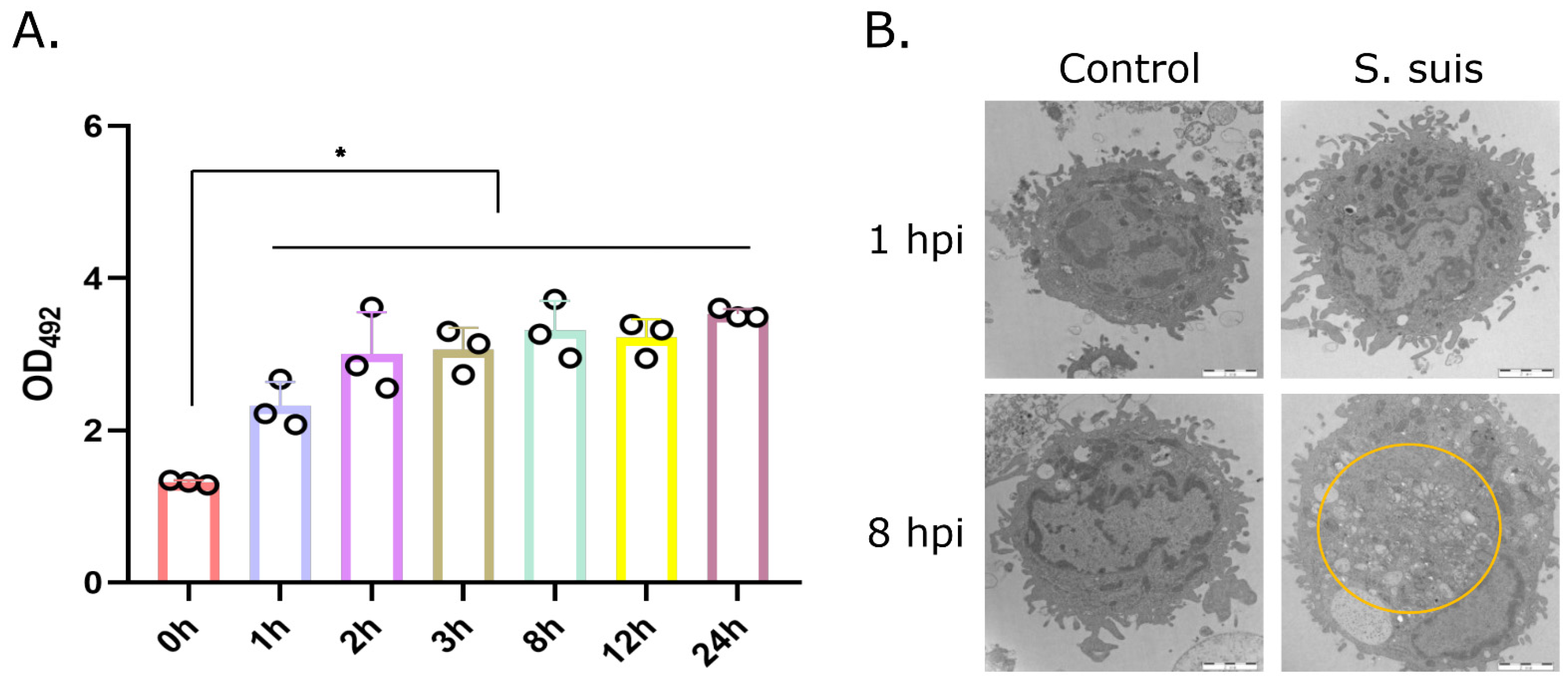 Microorganisms 12 01879 g004