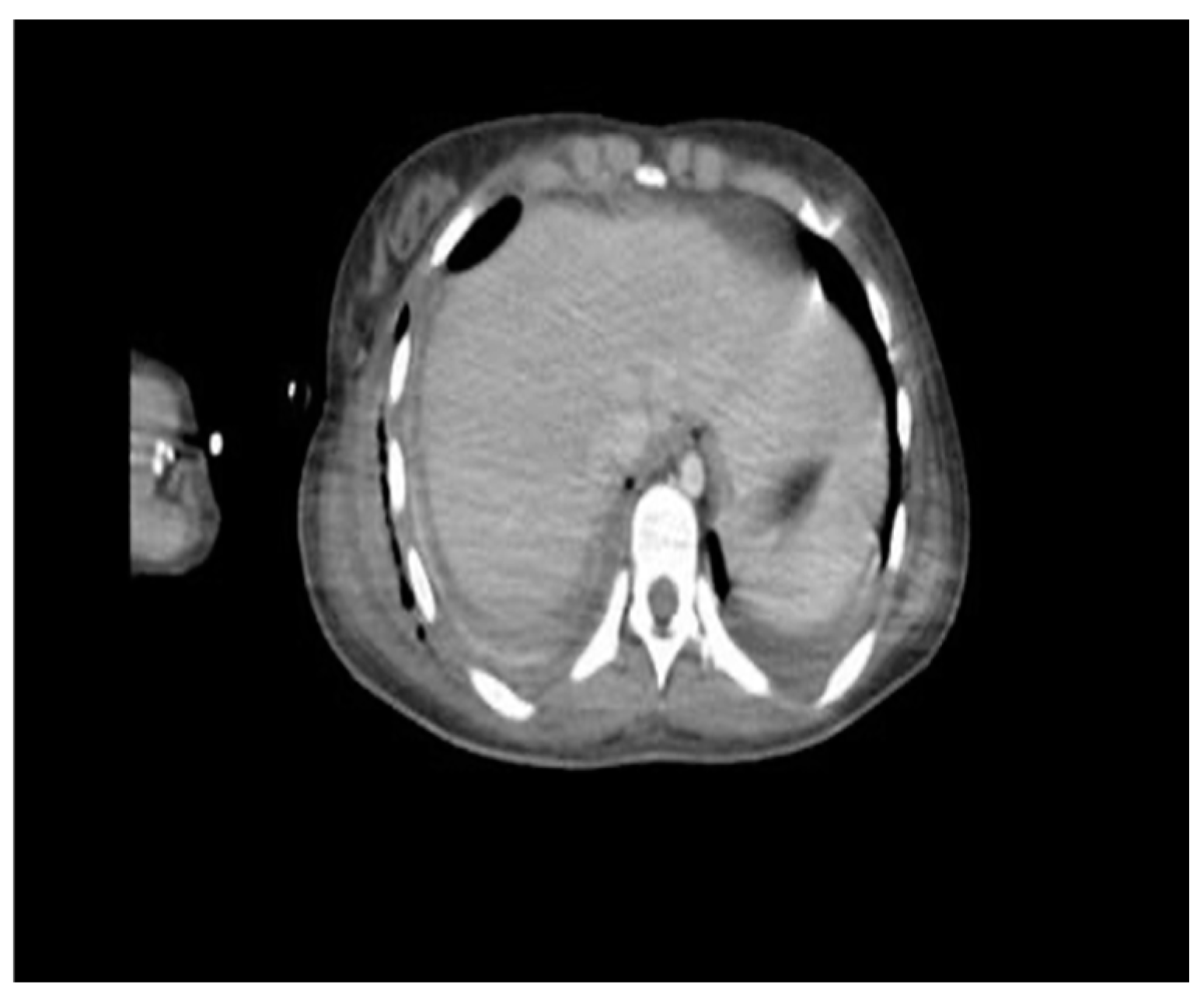 Microorganisms 12 01881 g005