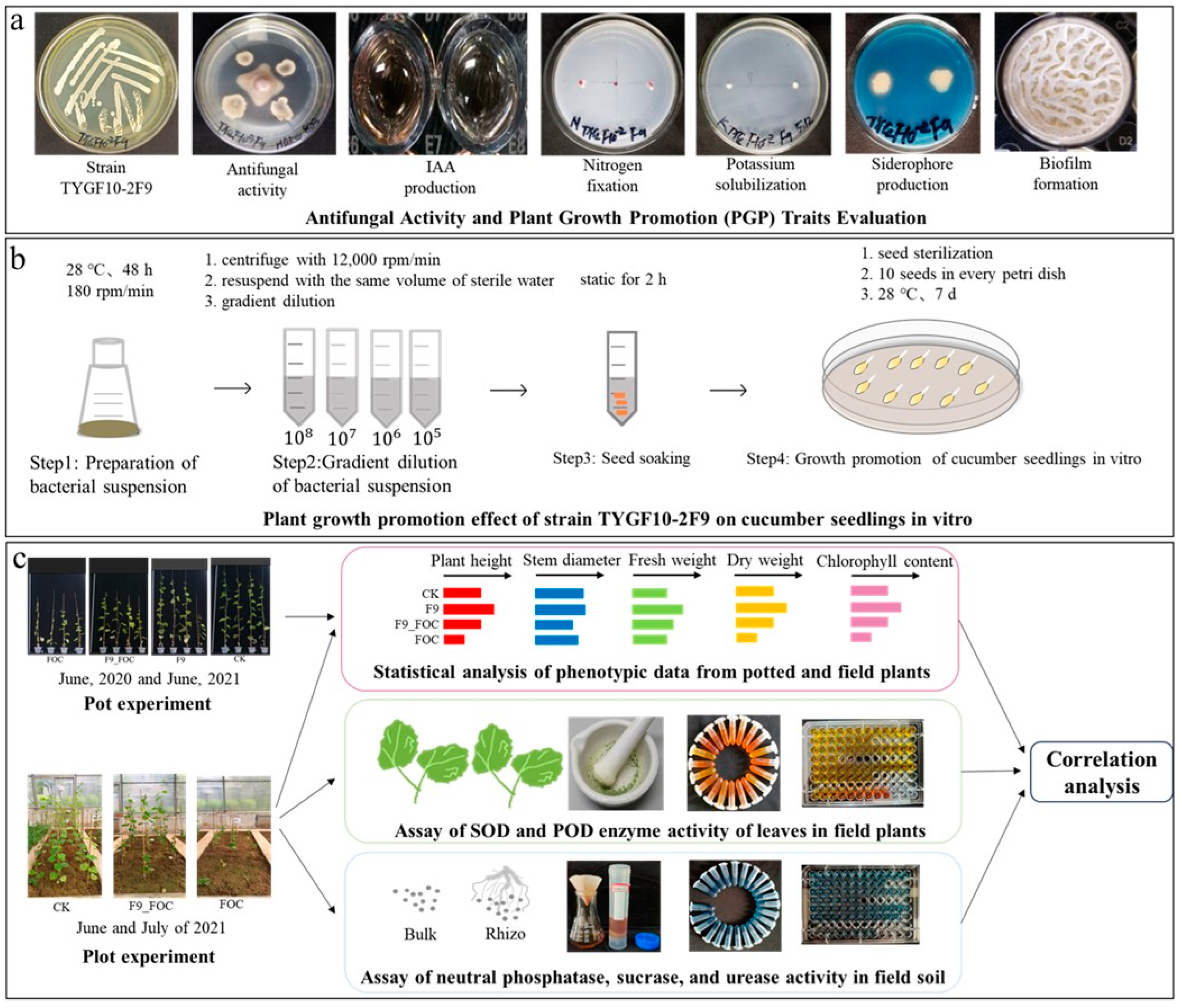 Microorganisms 12 01882 g001