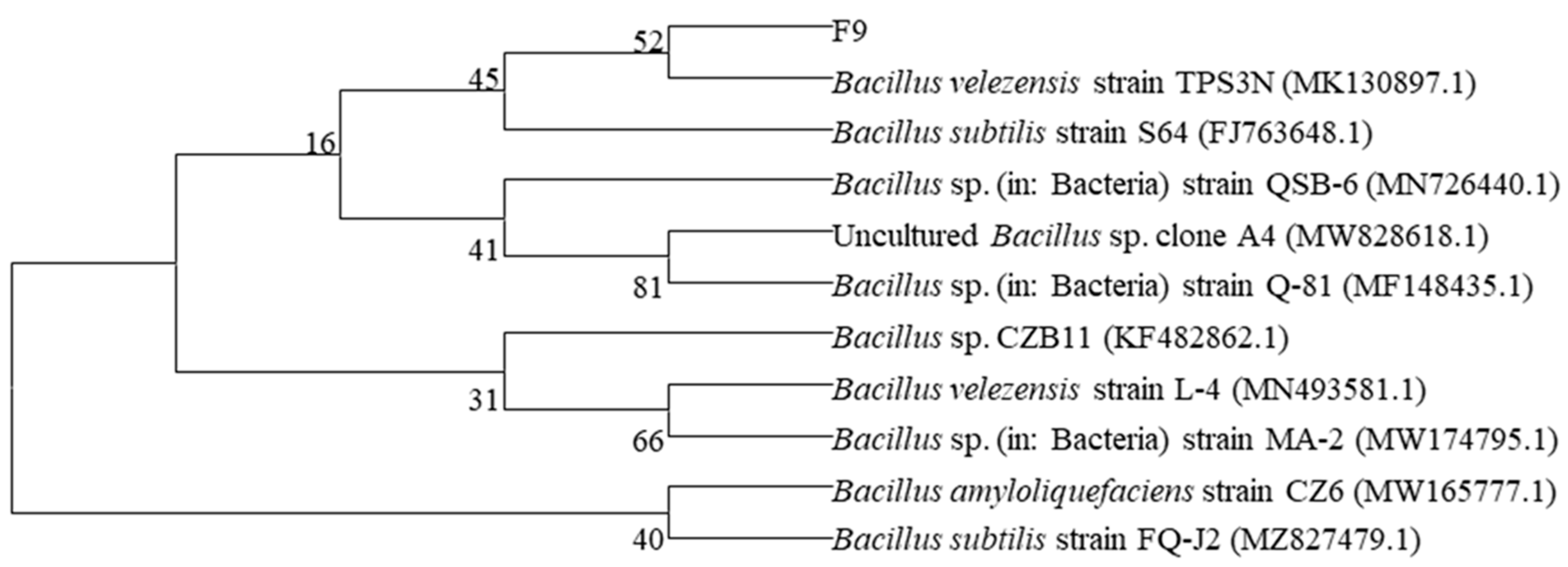 Microorganisms 12 01882 g003