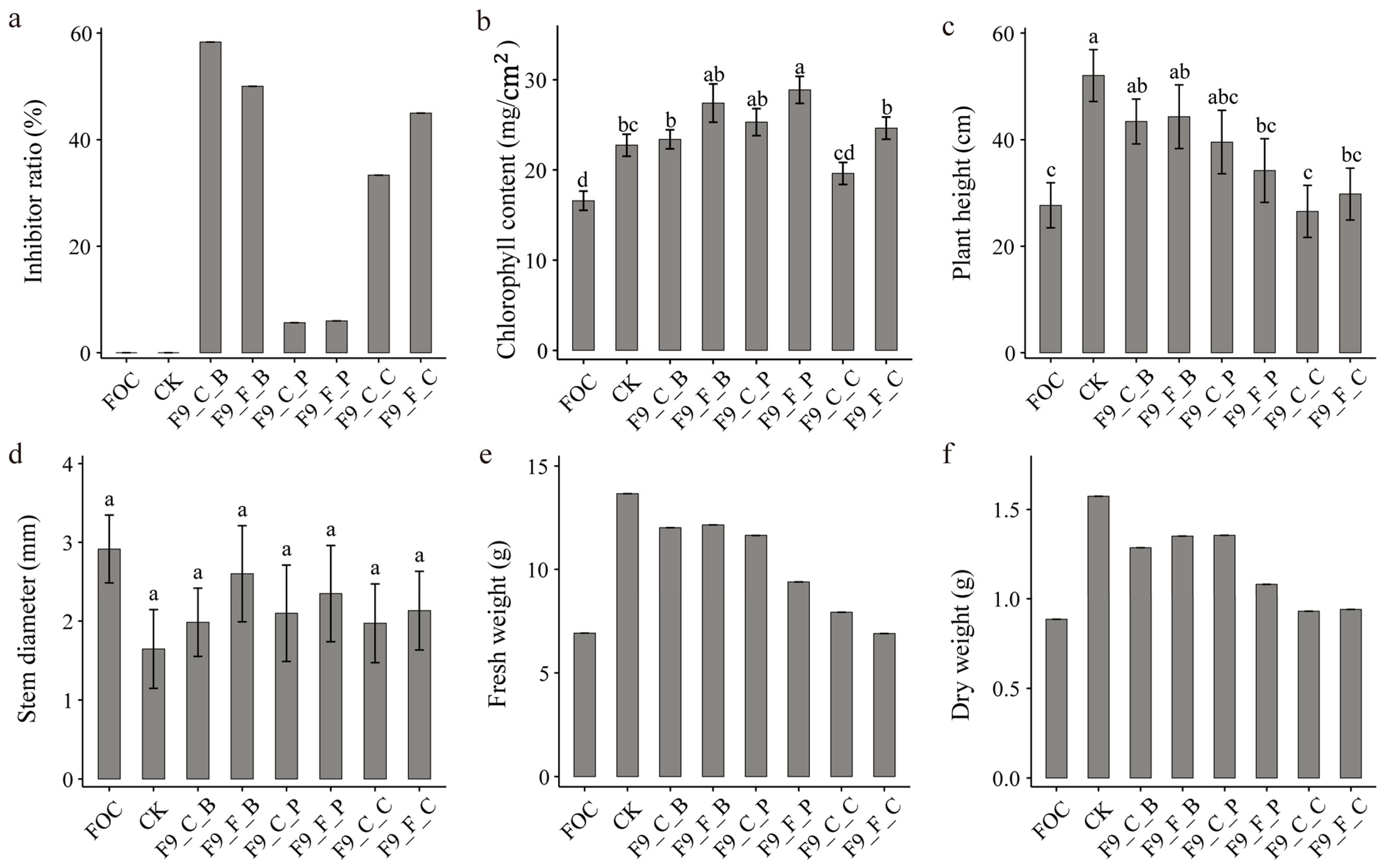 Microorganisms 12 01882 g005