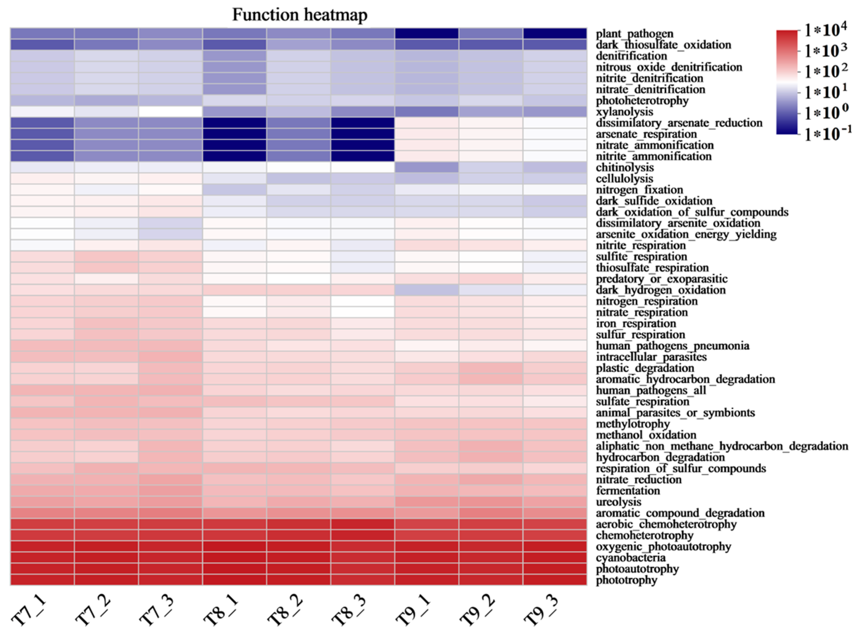 Microorganisms 12 01886 g007