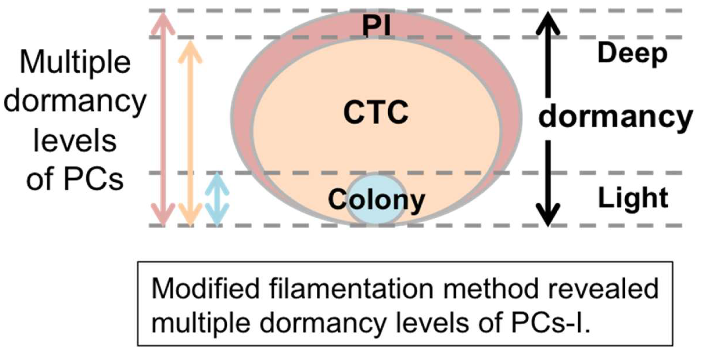 Microorganisms 12 01888 g006