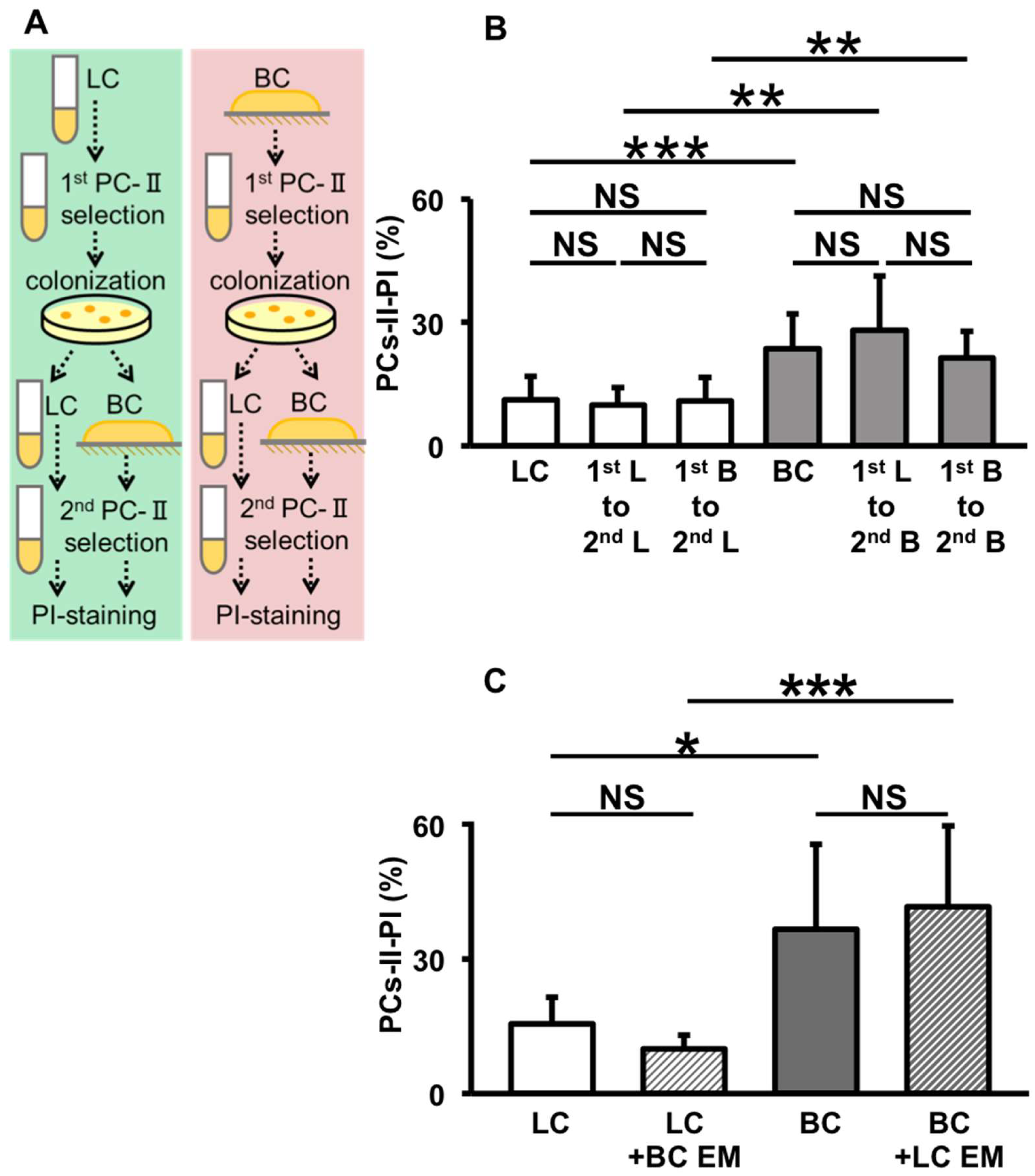 Microorganisms 12 01888 g009