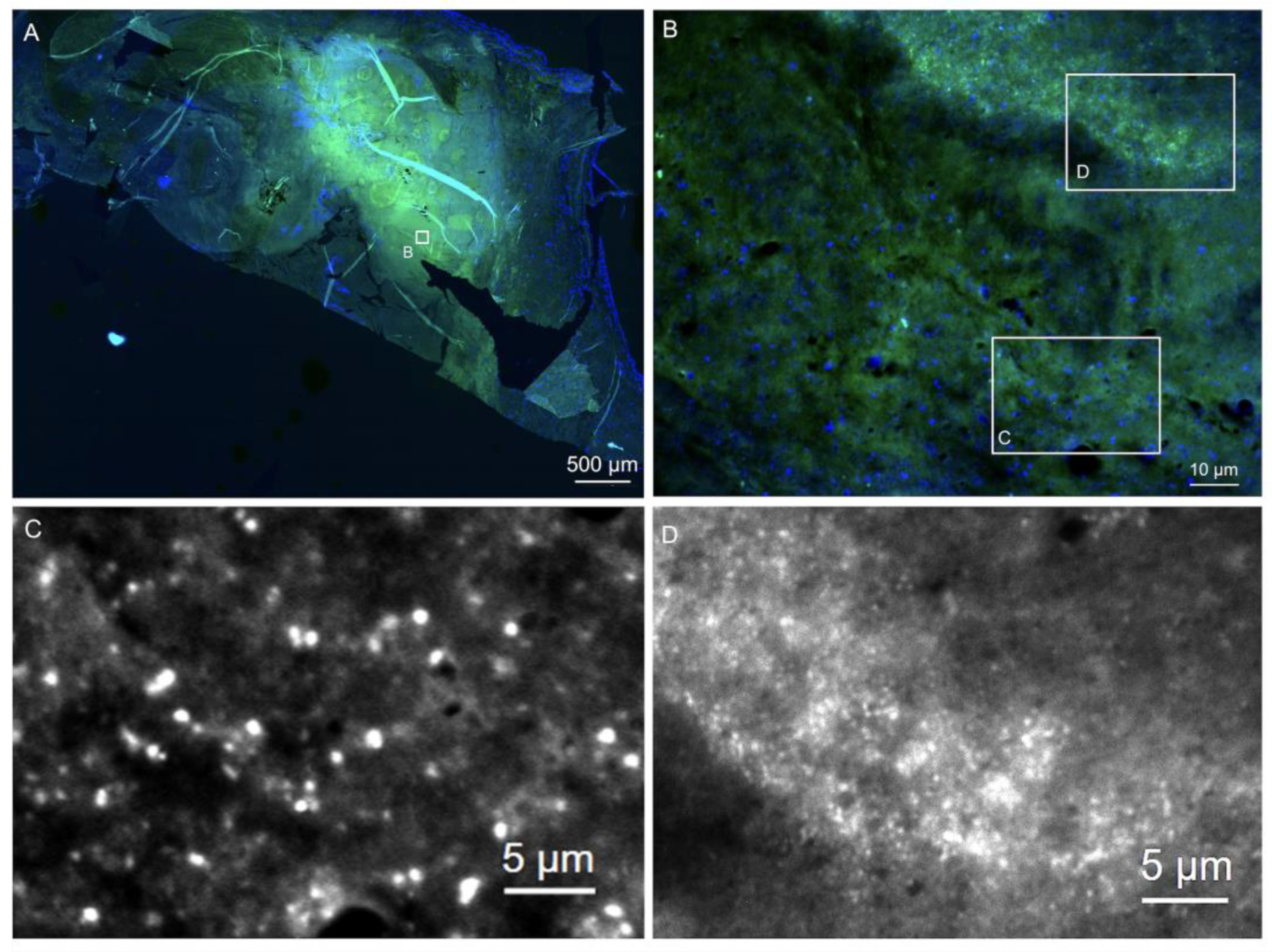 Microorganisms 12 01889 g002