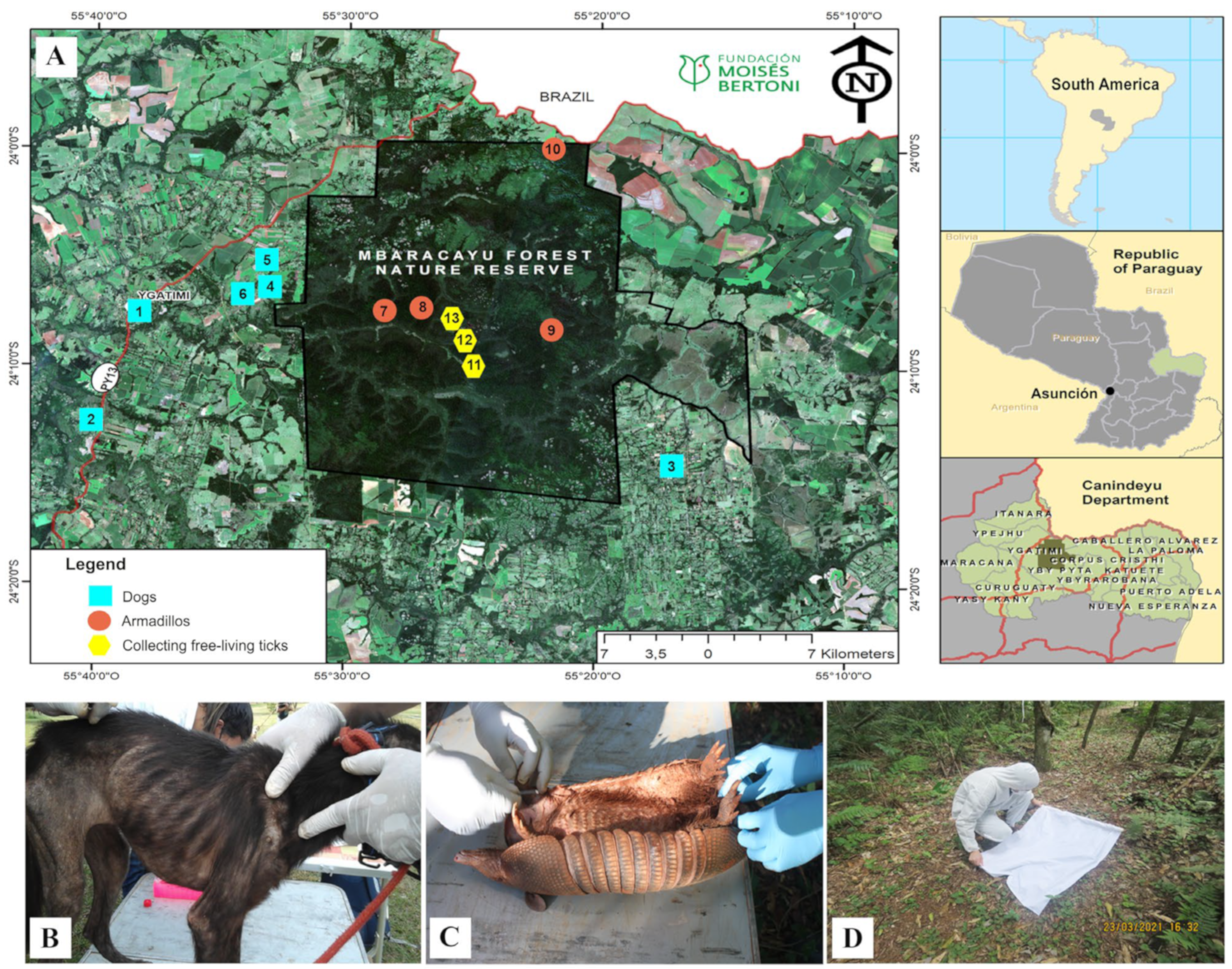 Microorganisms 12 01893 g001 Microorganisms 12 01893 g001