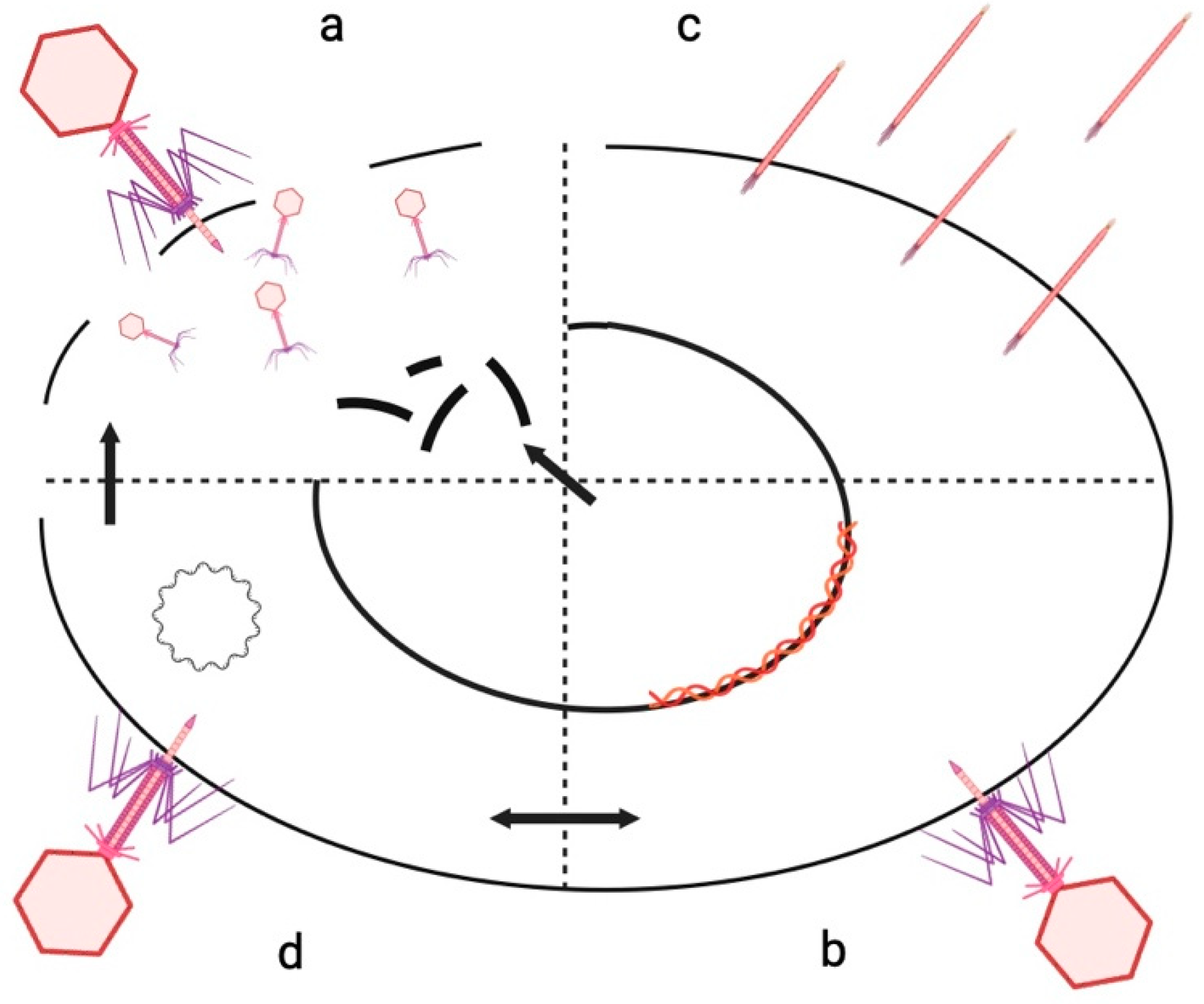 Microorganisms 12 01894 g001