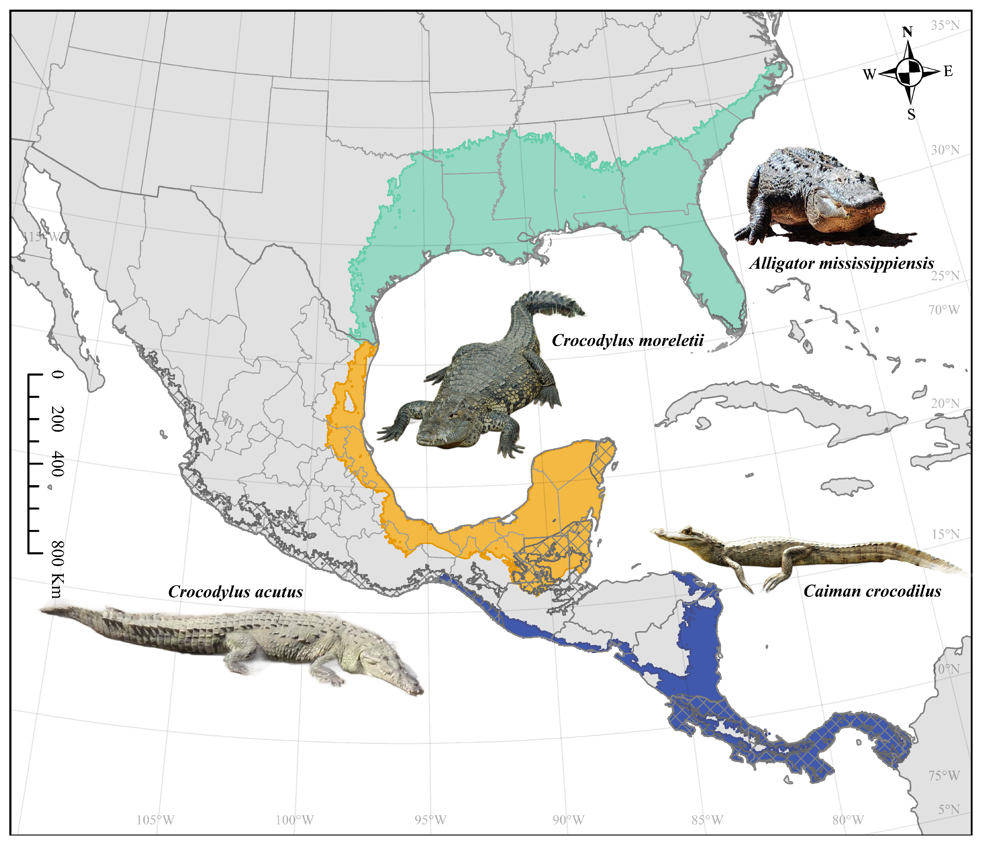 Microorganisms 12 01898 g001