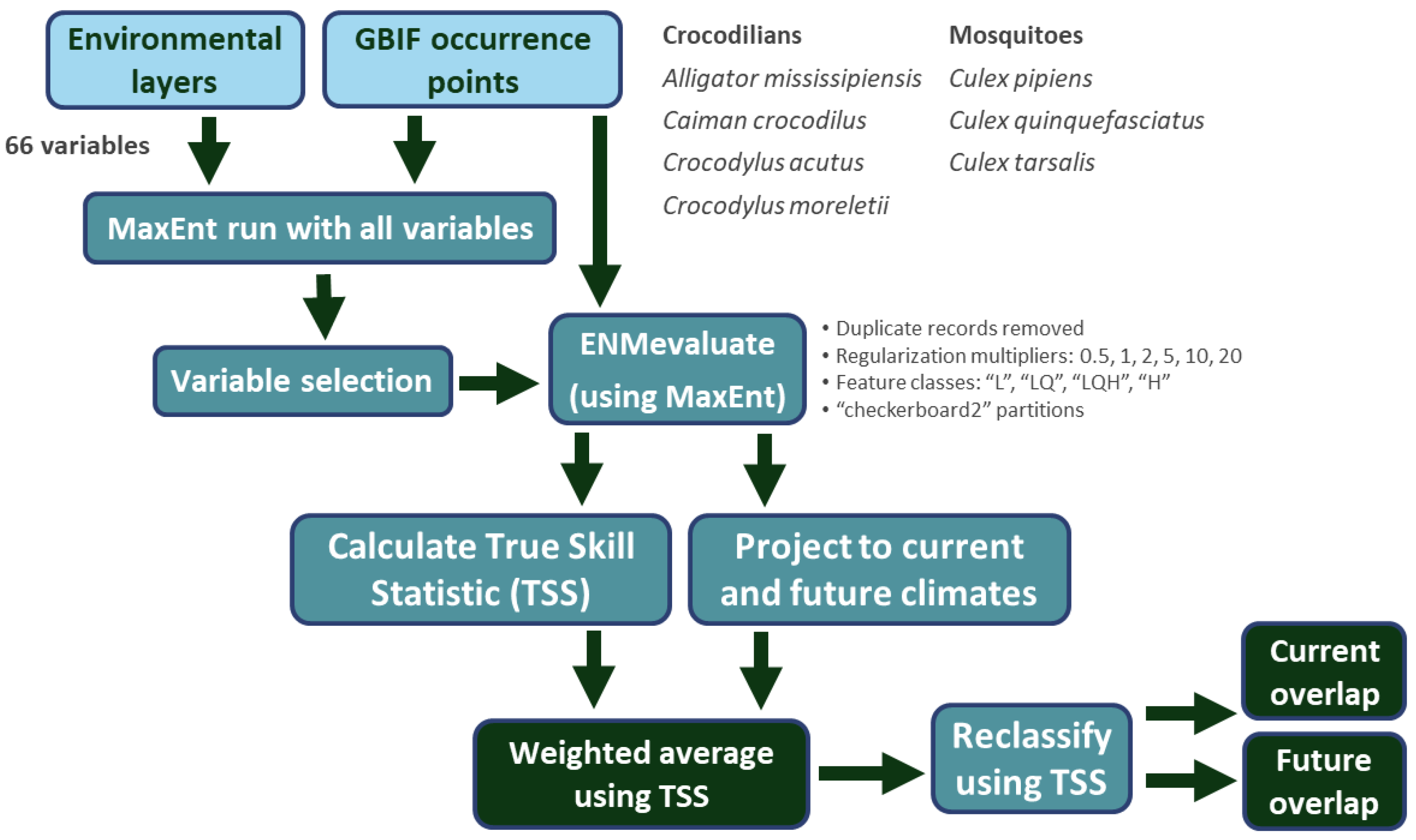 Microorganisms 12 01898 g002