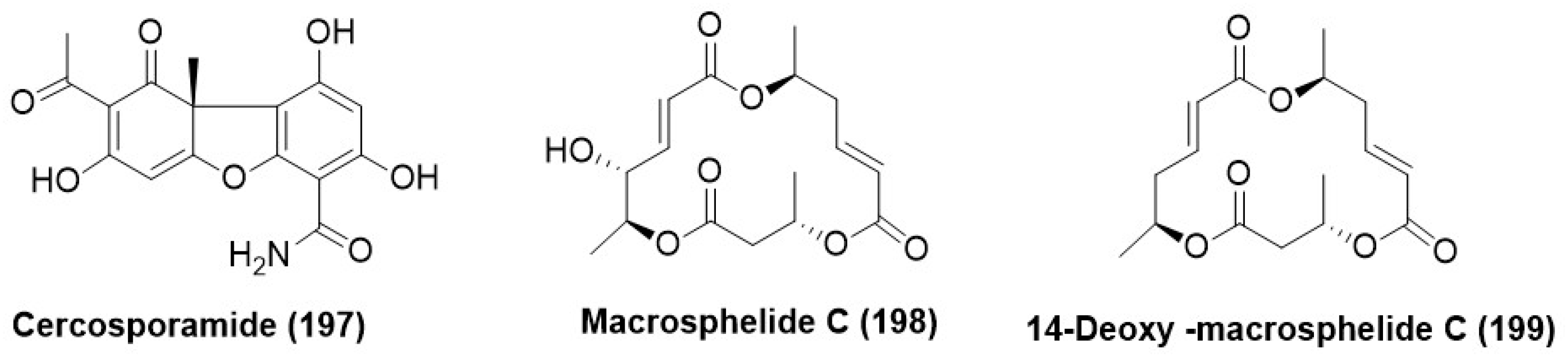 Microorganisms 12 01903 g011