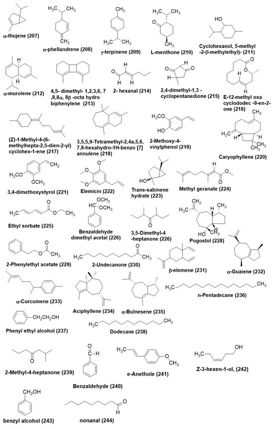 Endophytic Fungi: A Treasure Trove of Antifungal Metabolites