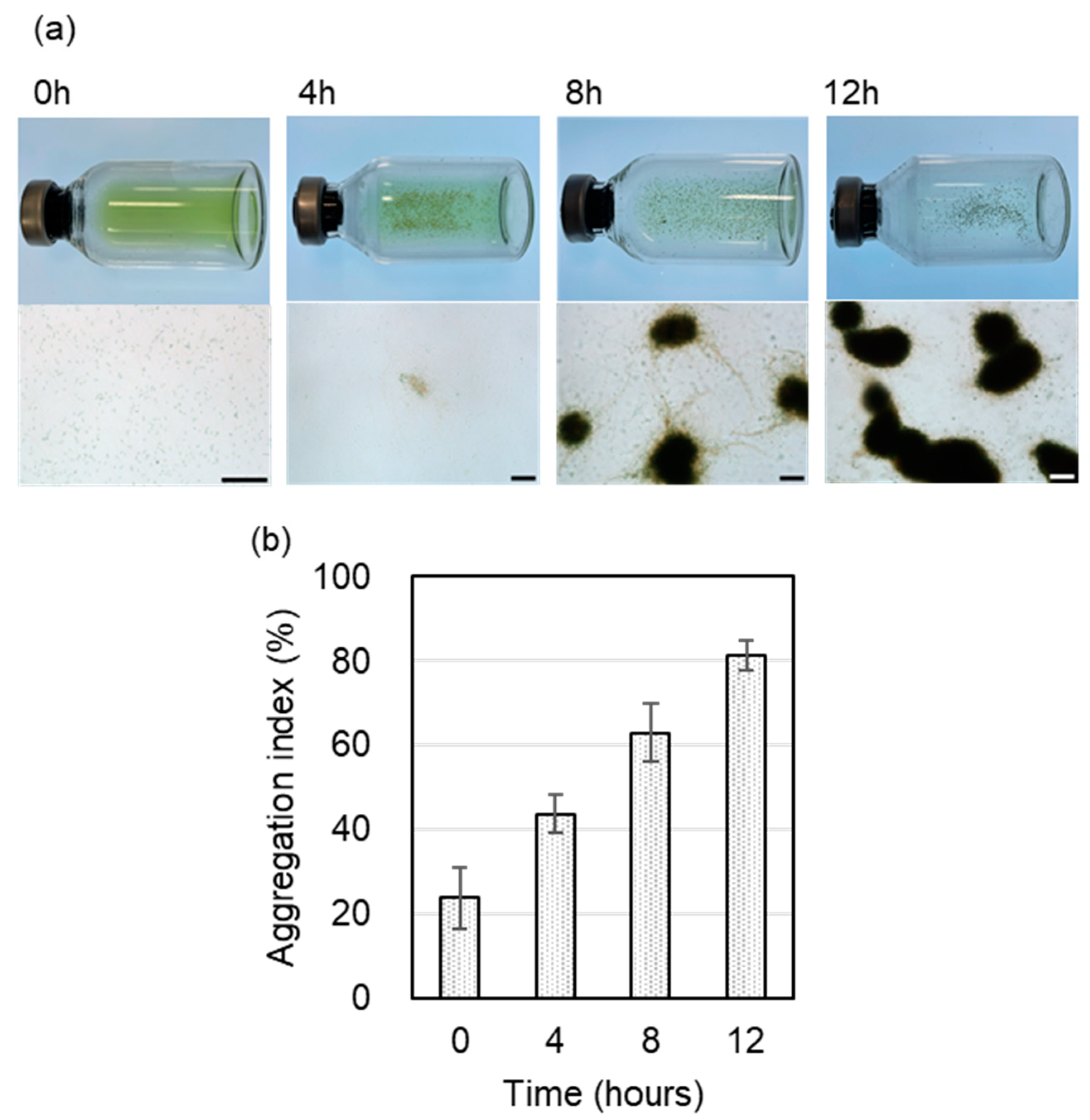 Microorganisms 12 01904 g001