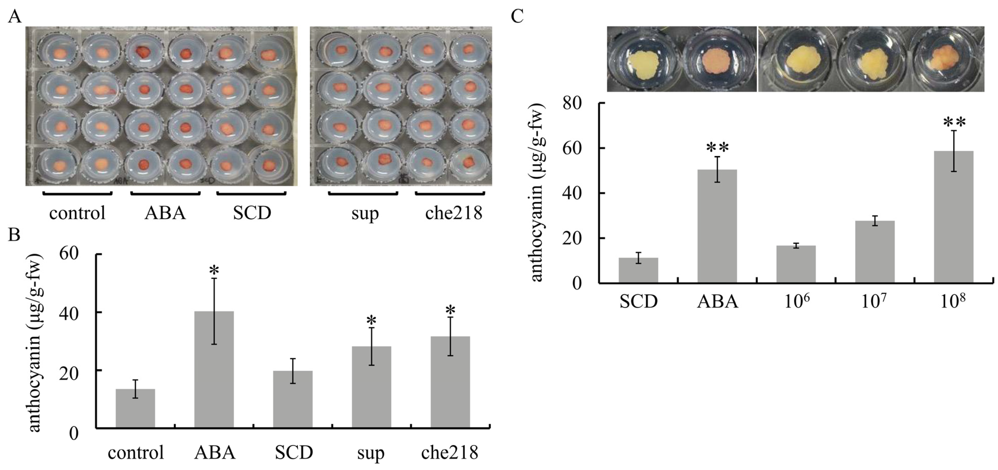 Microorganisms 12 01906 g001