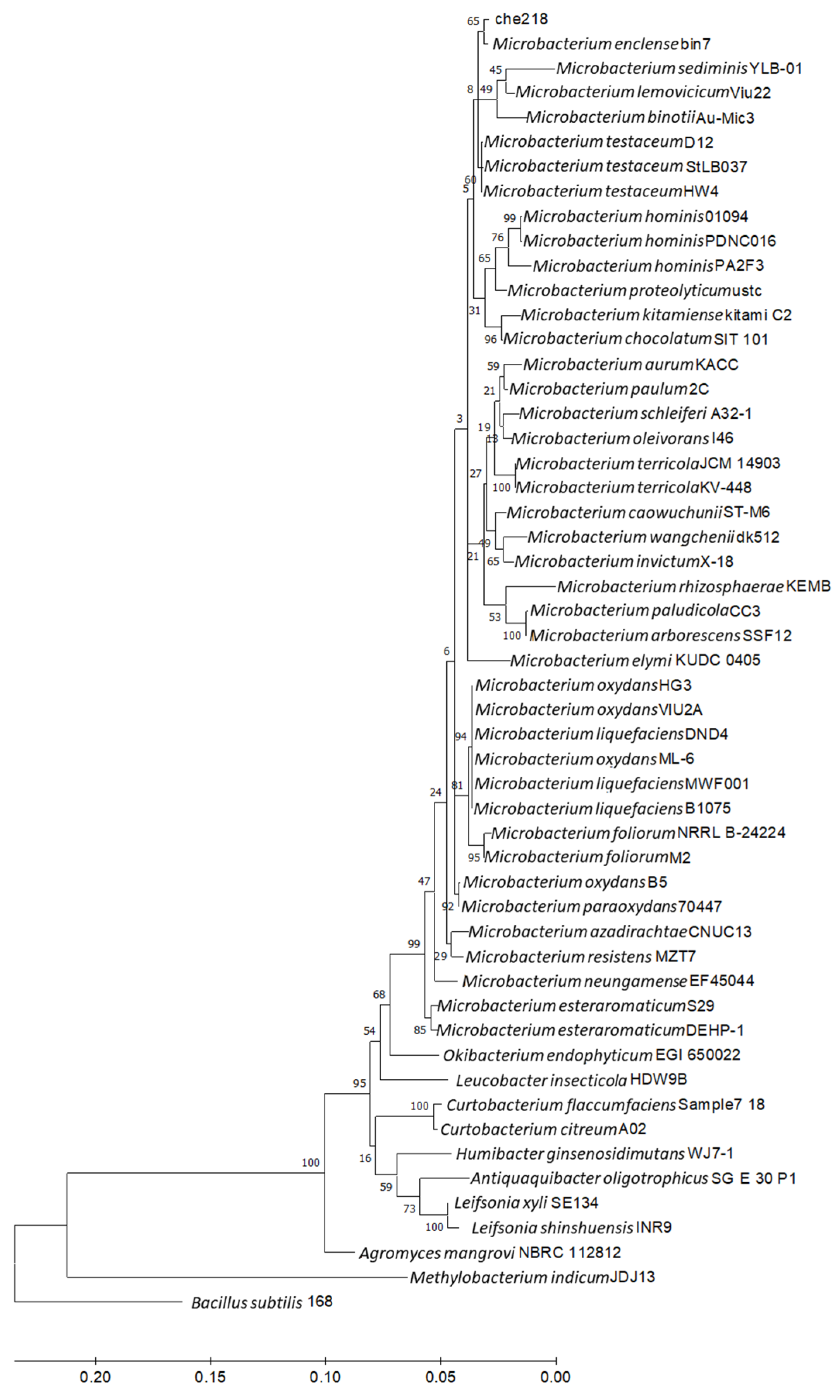 Microorganisms 12 01906 g005