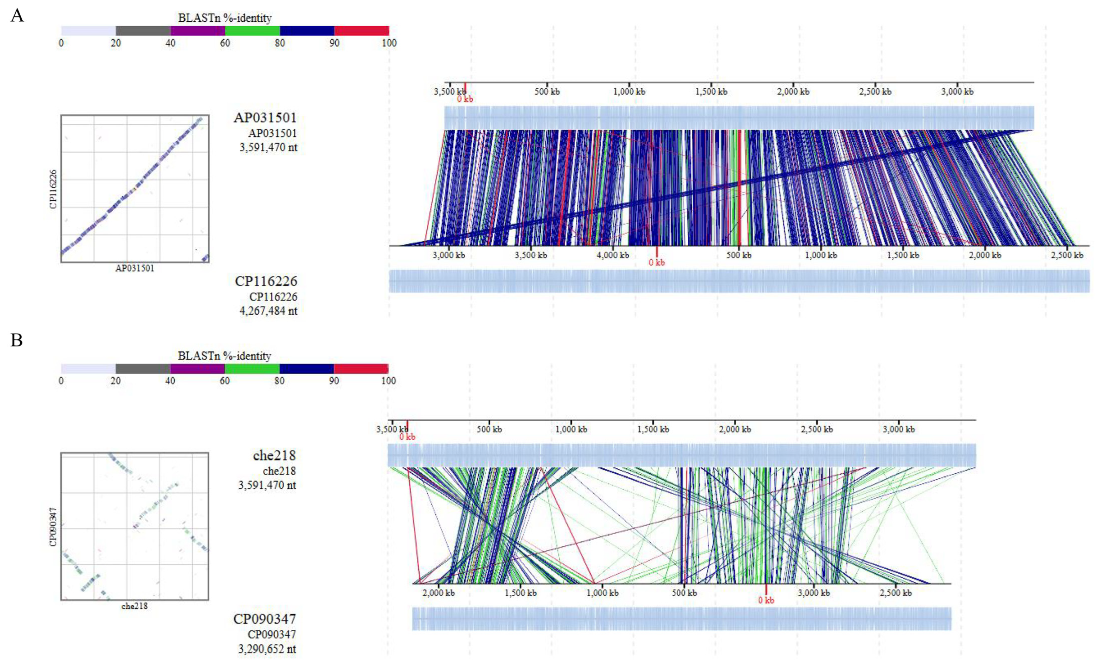 Microorganisms 12 01906 g006