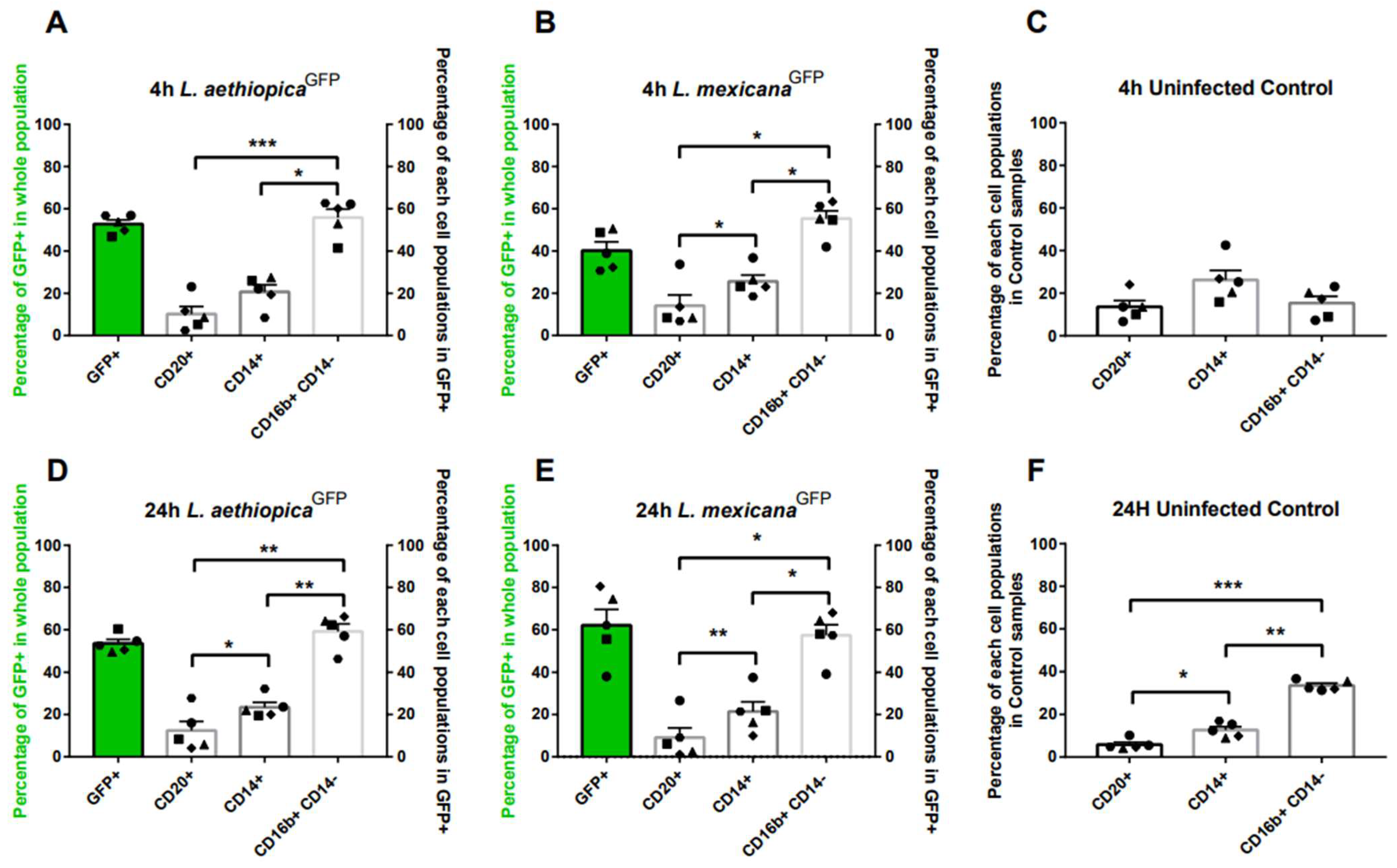 Microorganisms 12 01909 g001