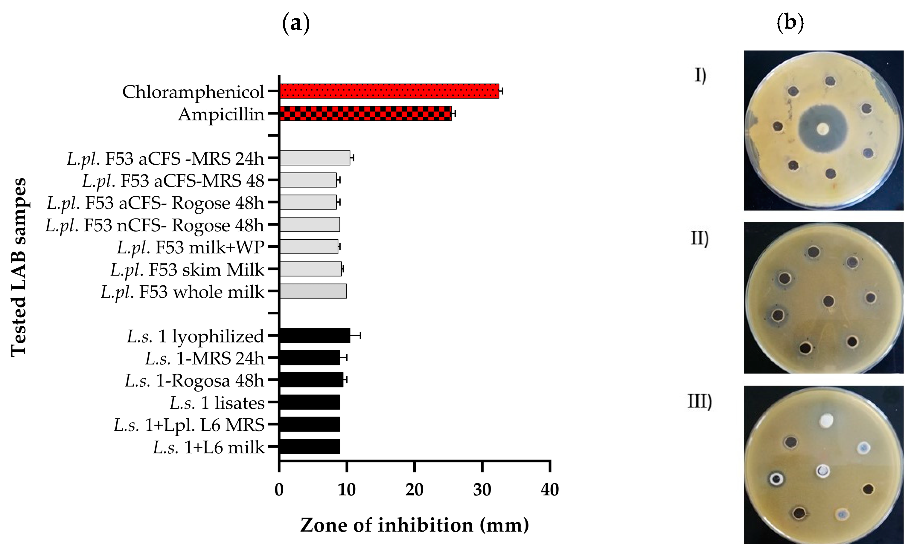 Microorganisms 12 01910 g001
