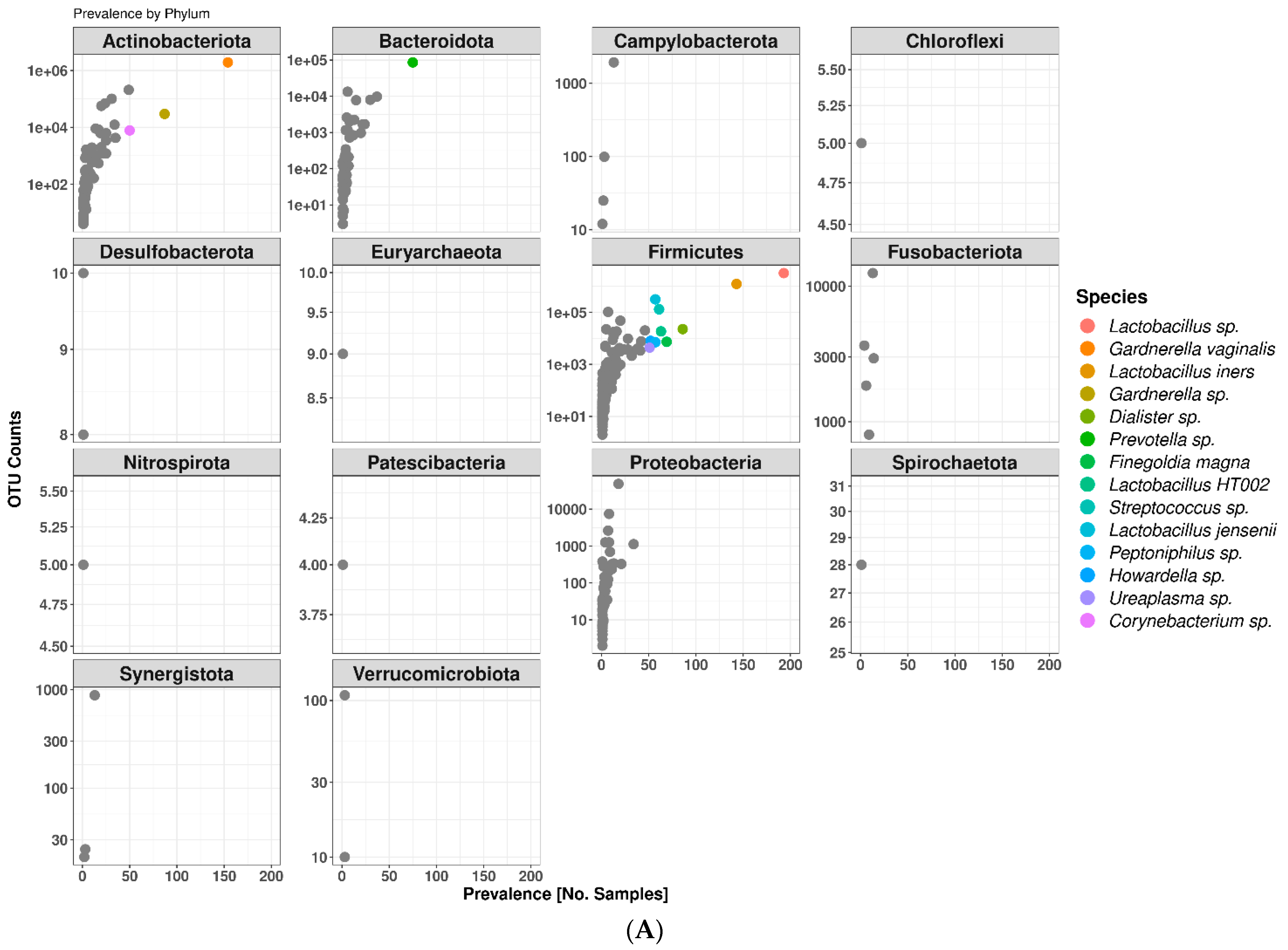 Microorganisms 12 01917 g001a