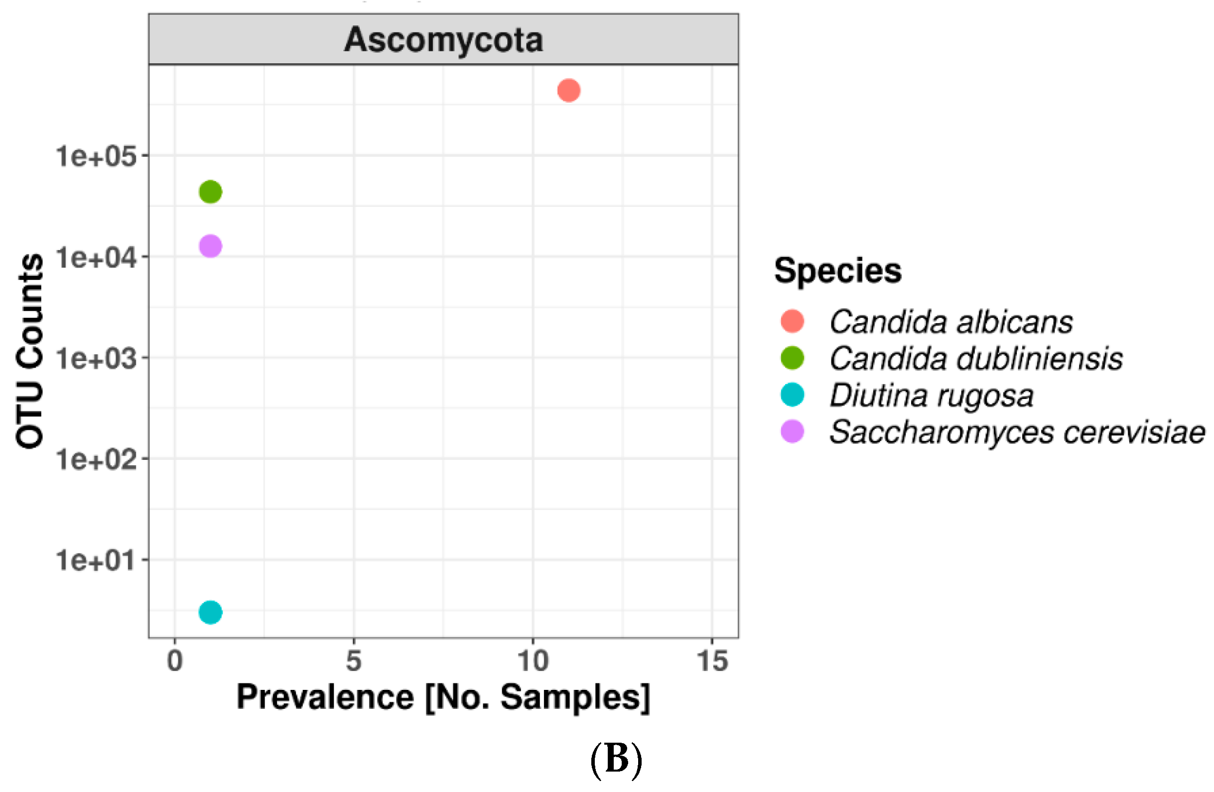 Microorganisms 12 01917 g001b