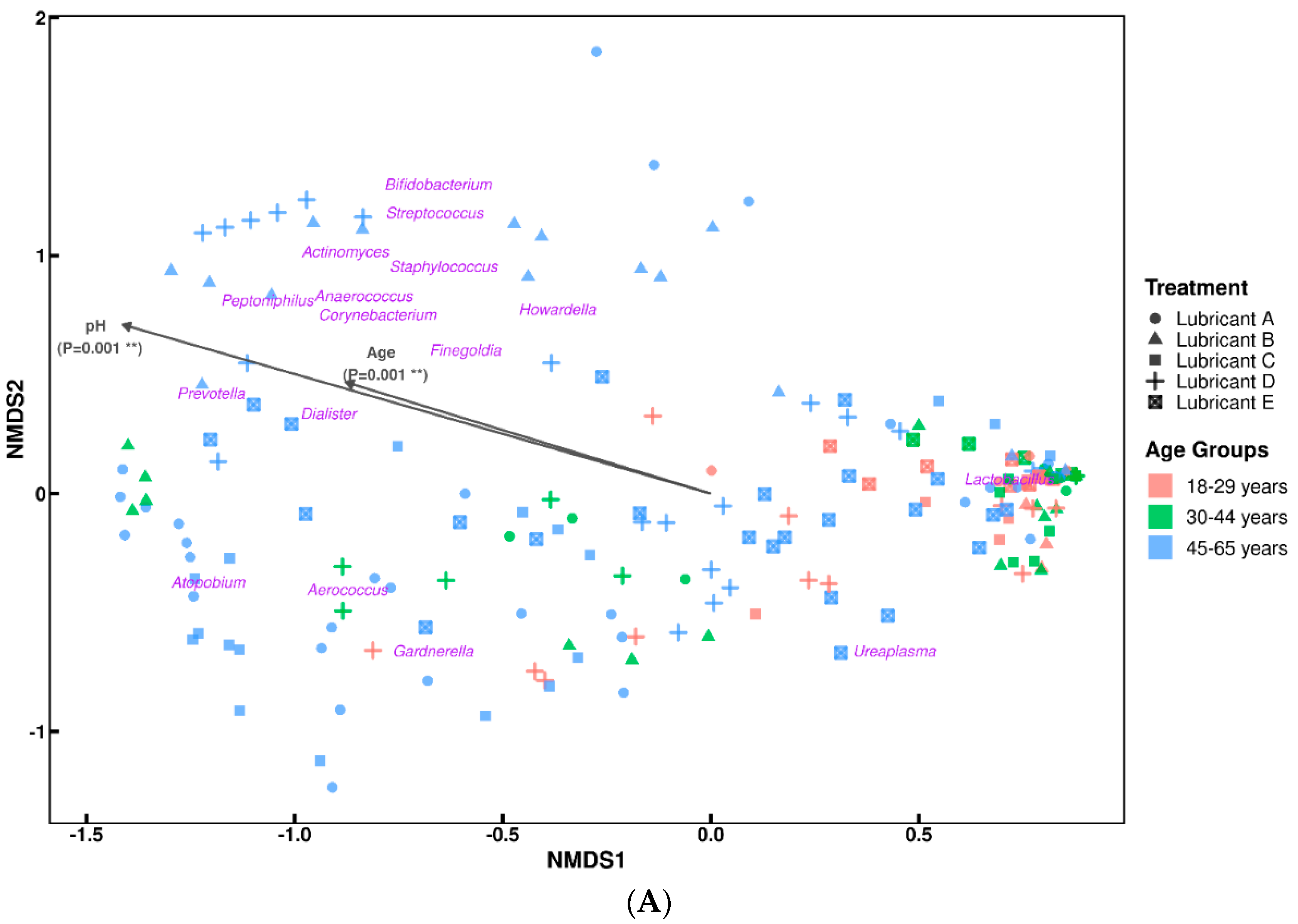 Microorganisms 12 01917 g004a