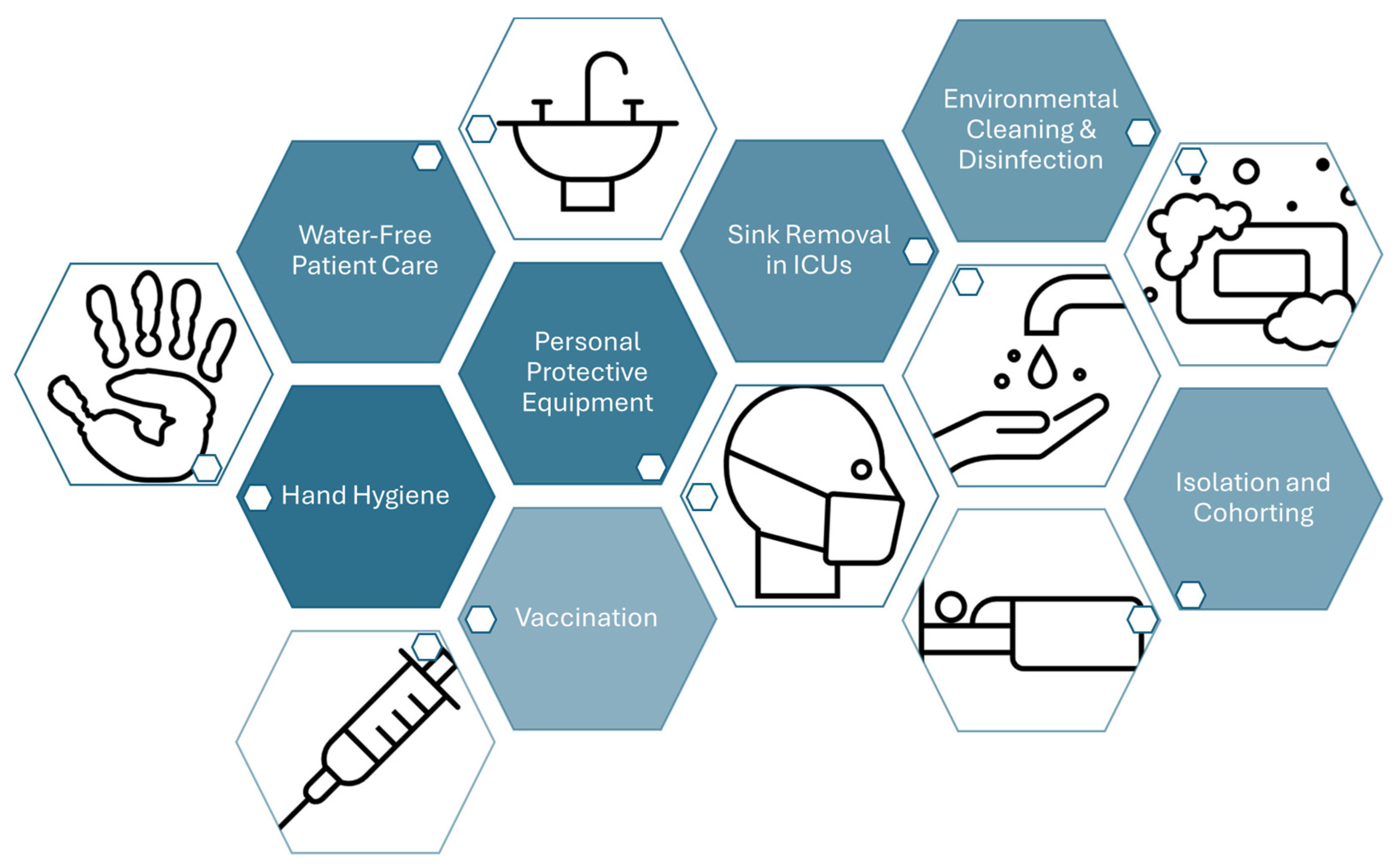 Microorganisms 12 01920 g004 Microorganisms 12 01920 g004