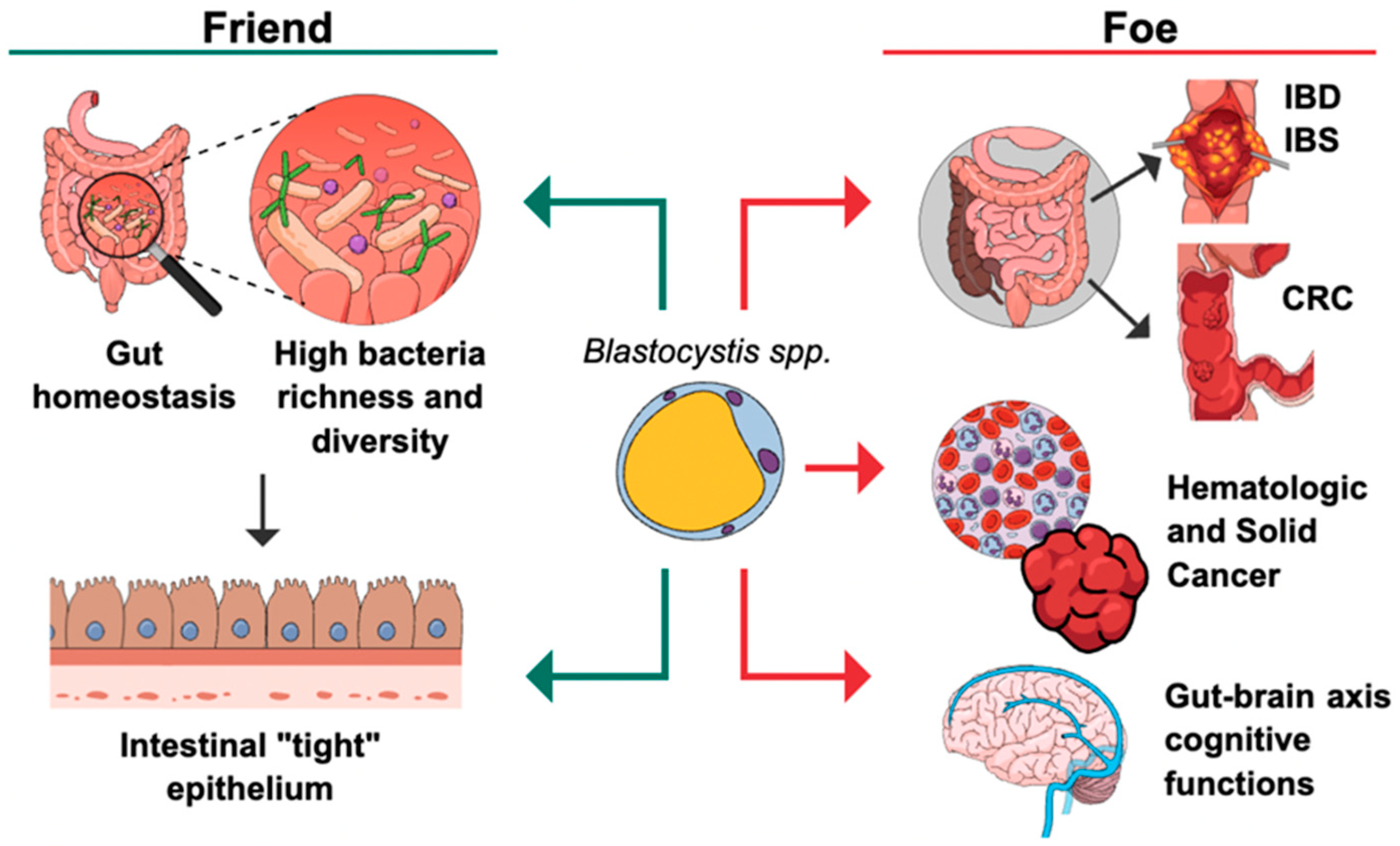 Microorganisms 12 01924 g002 Microorganisms 12 01924 g002
