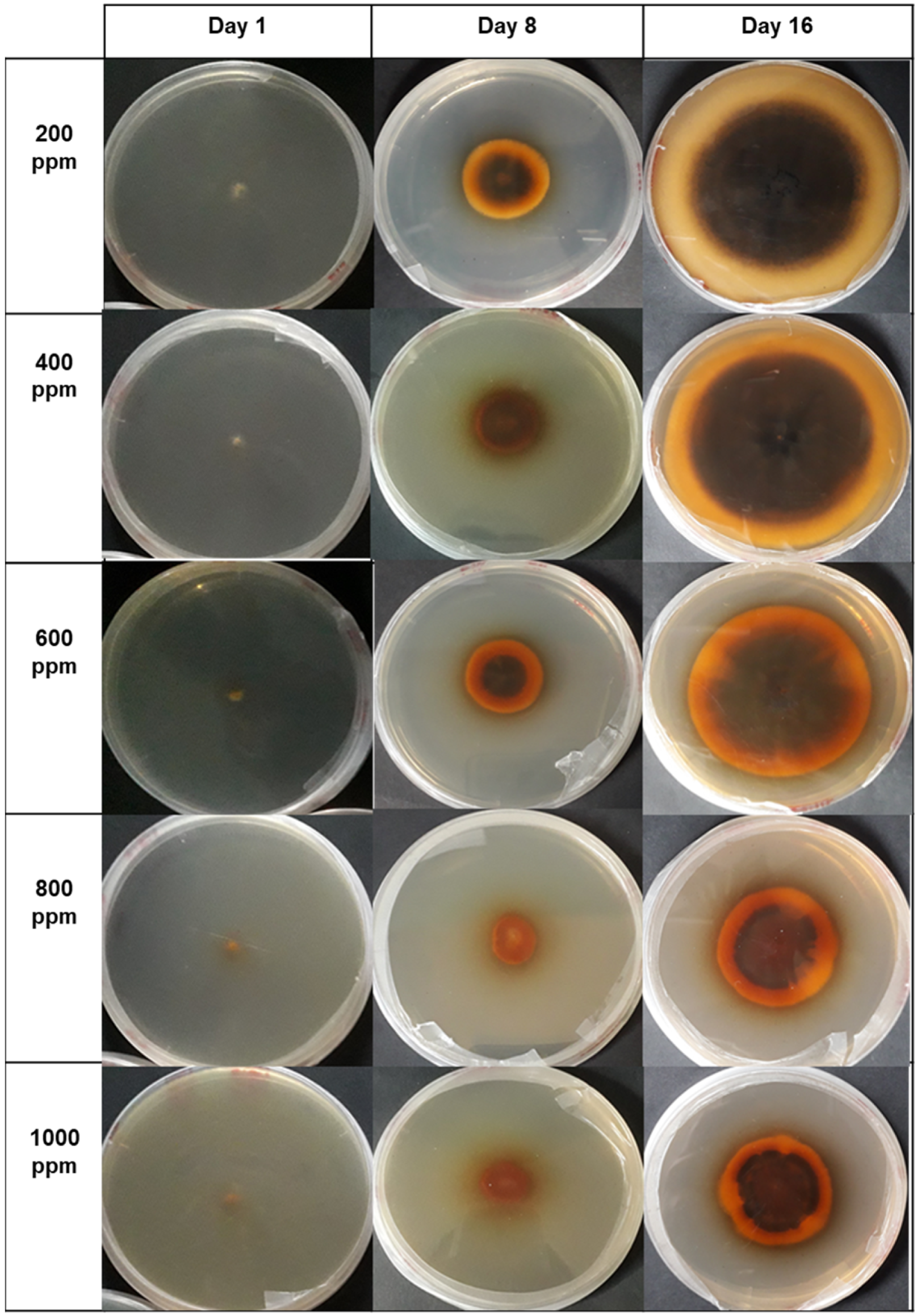 Microorganisms 12 01929 g008 Microorganisms 12 01929 g008