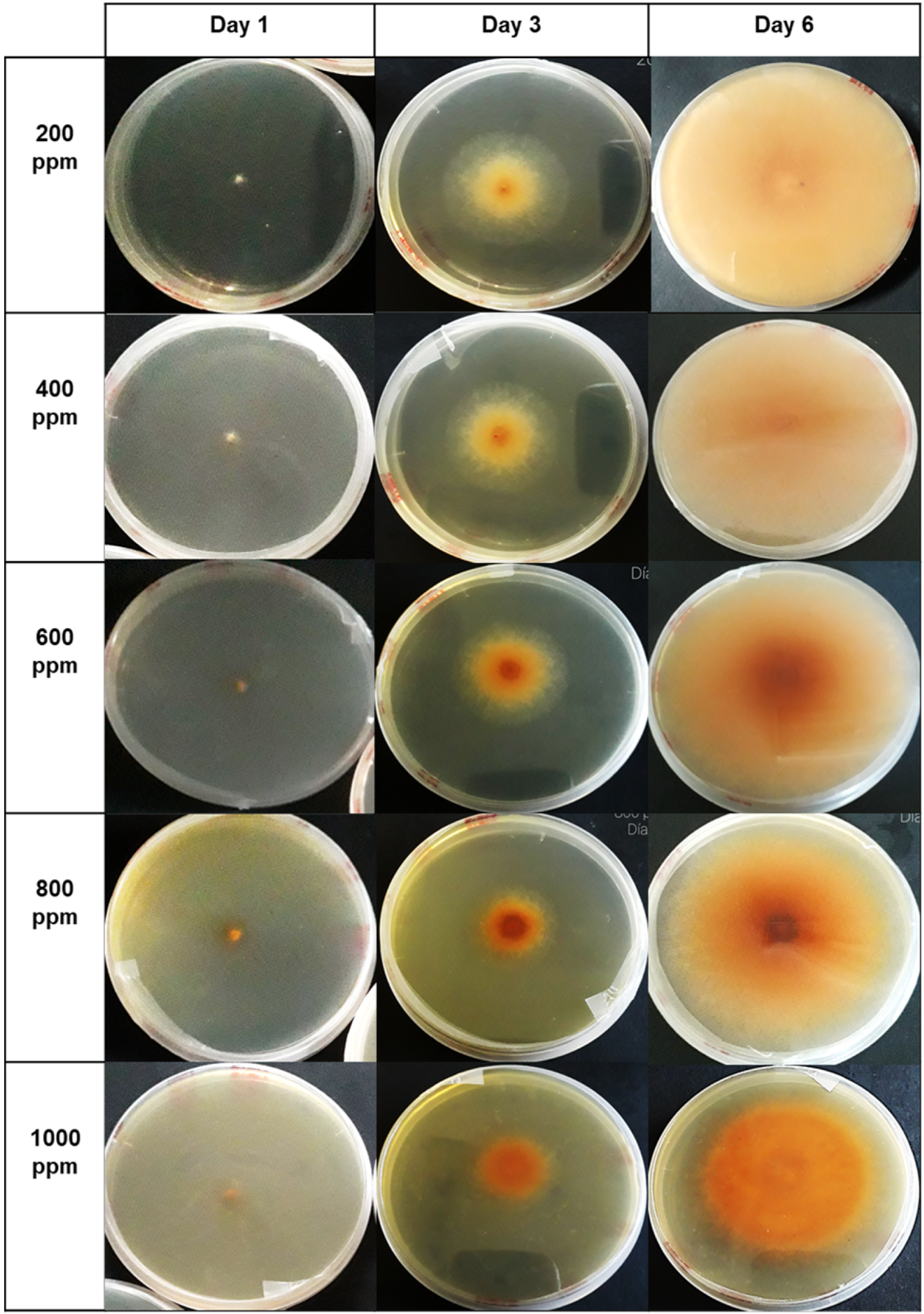 Microorganisms 12 01929 g009 Microorganisms 12 01929 g009