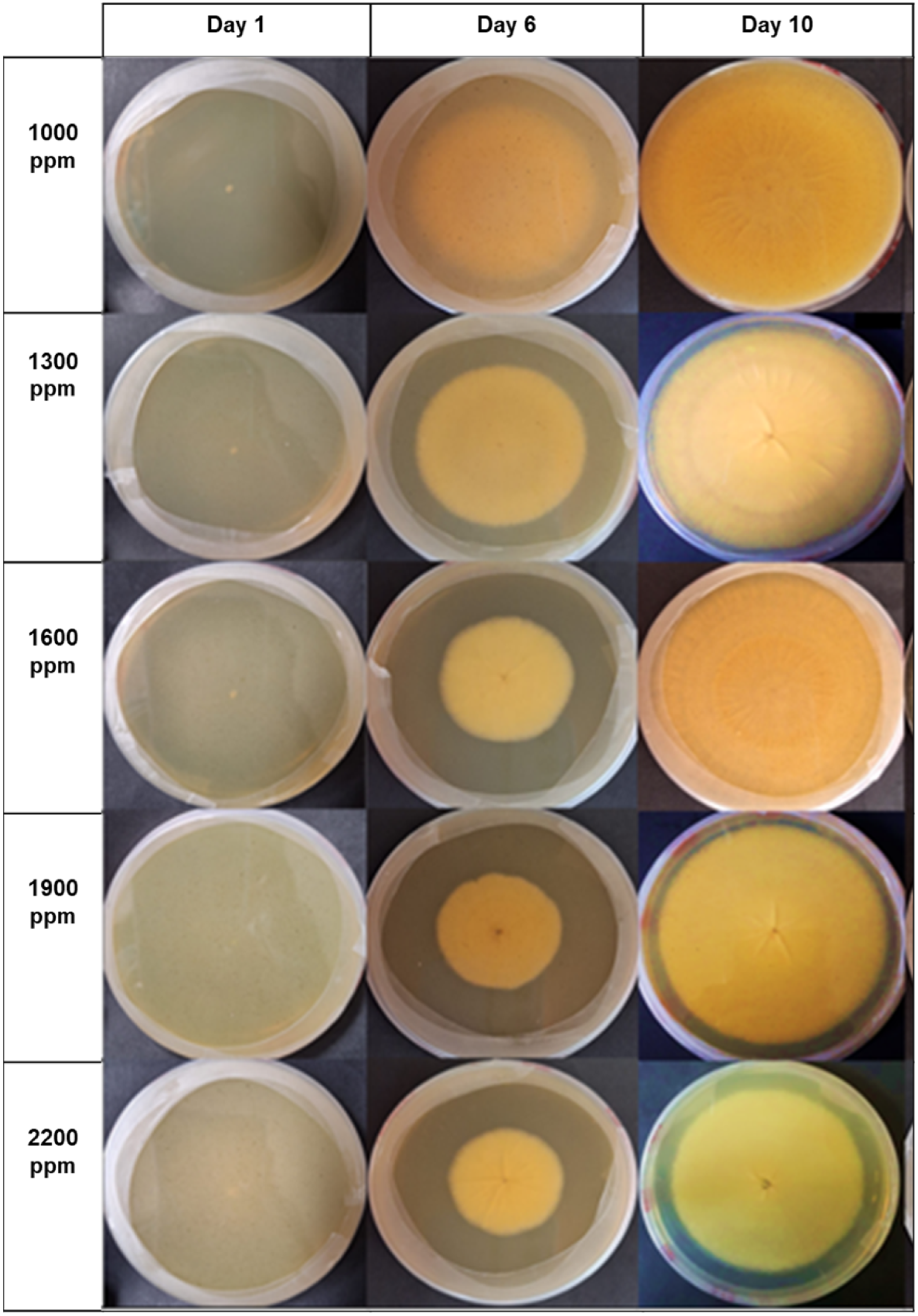Microorganisms 12 01929 g010 Microorganisms 12 01929 g010