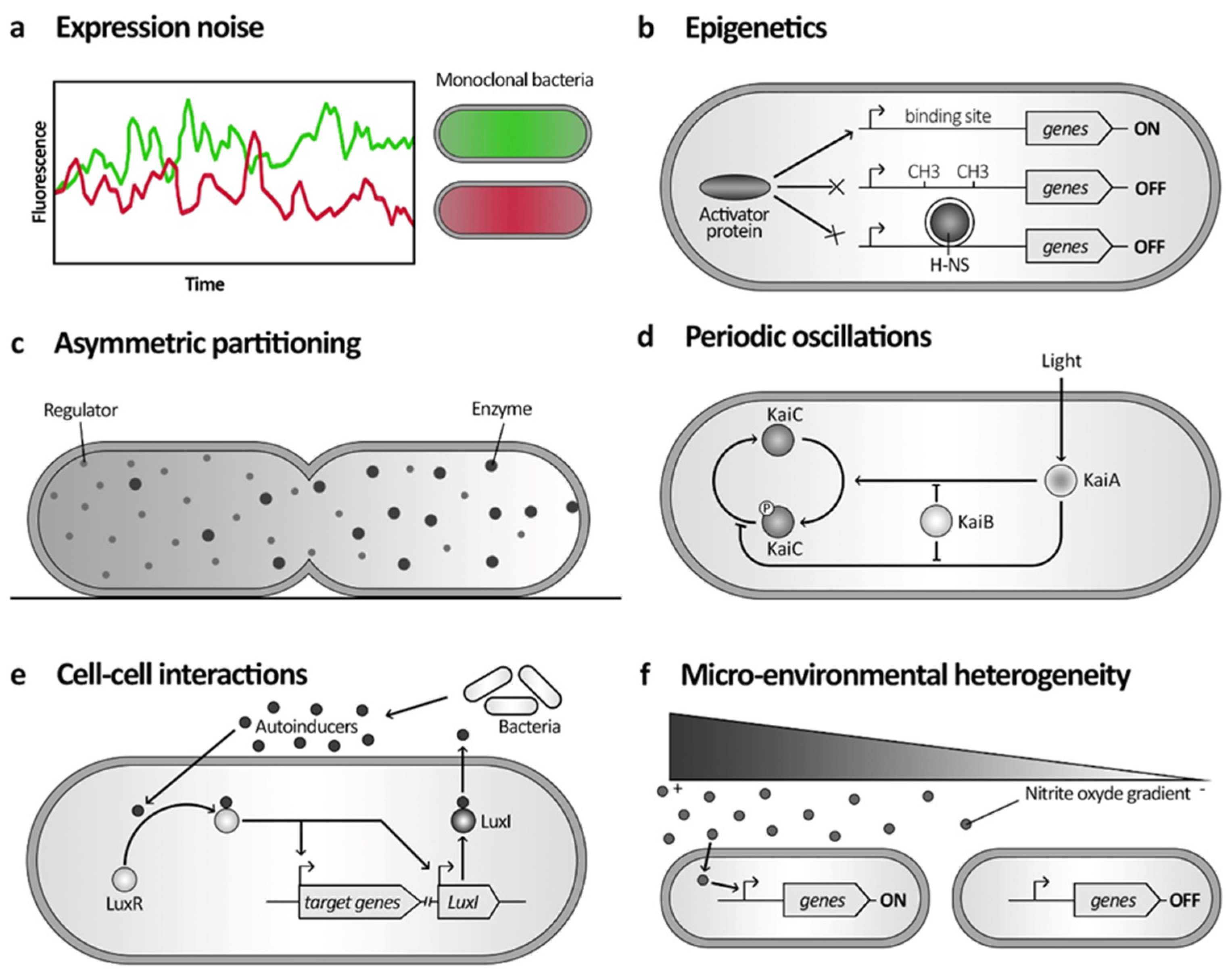 Microorganisms 12 01930 g001