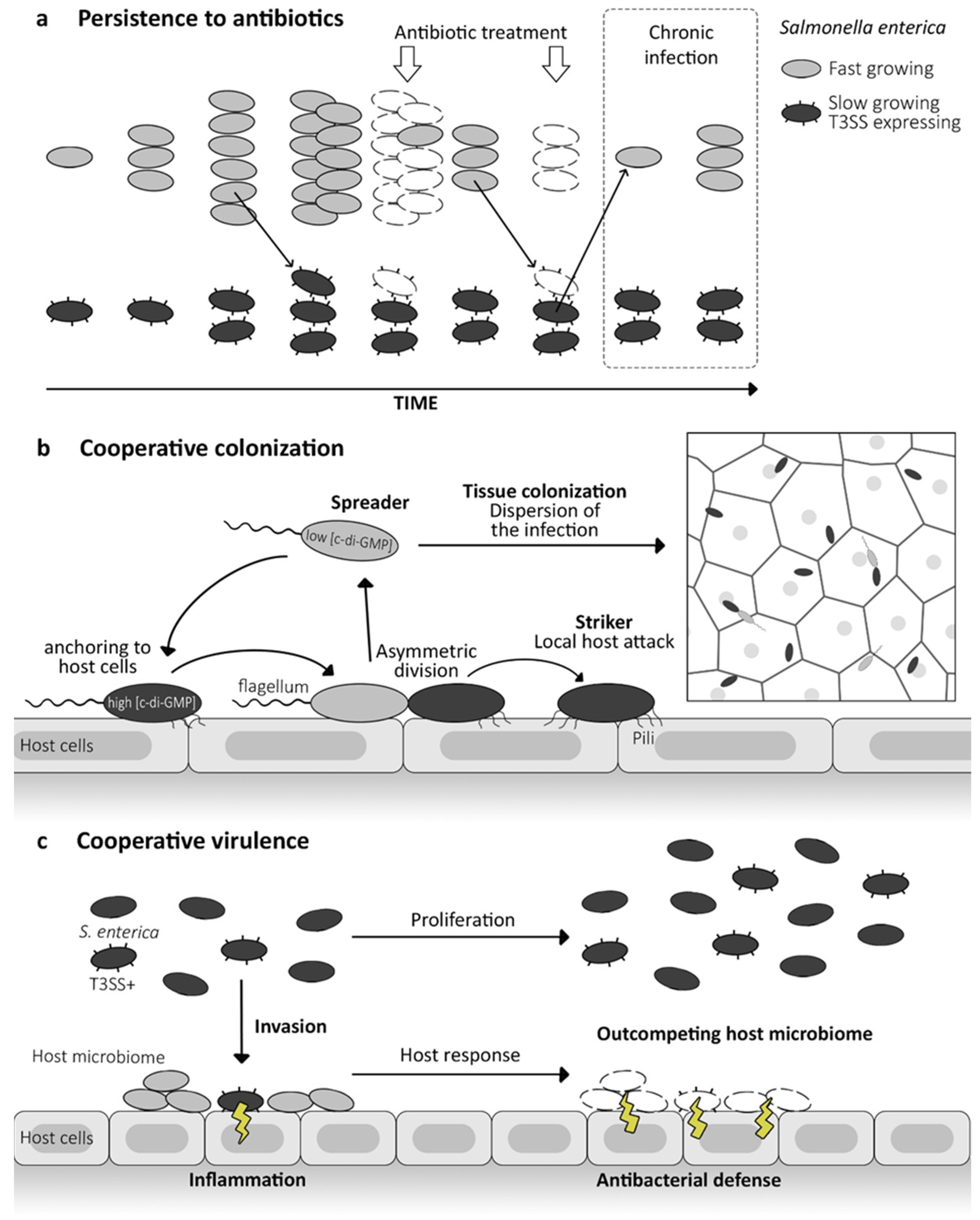 Microorganisms 12 01930 g004
