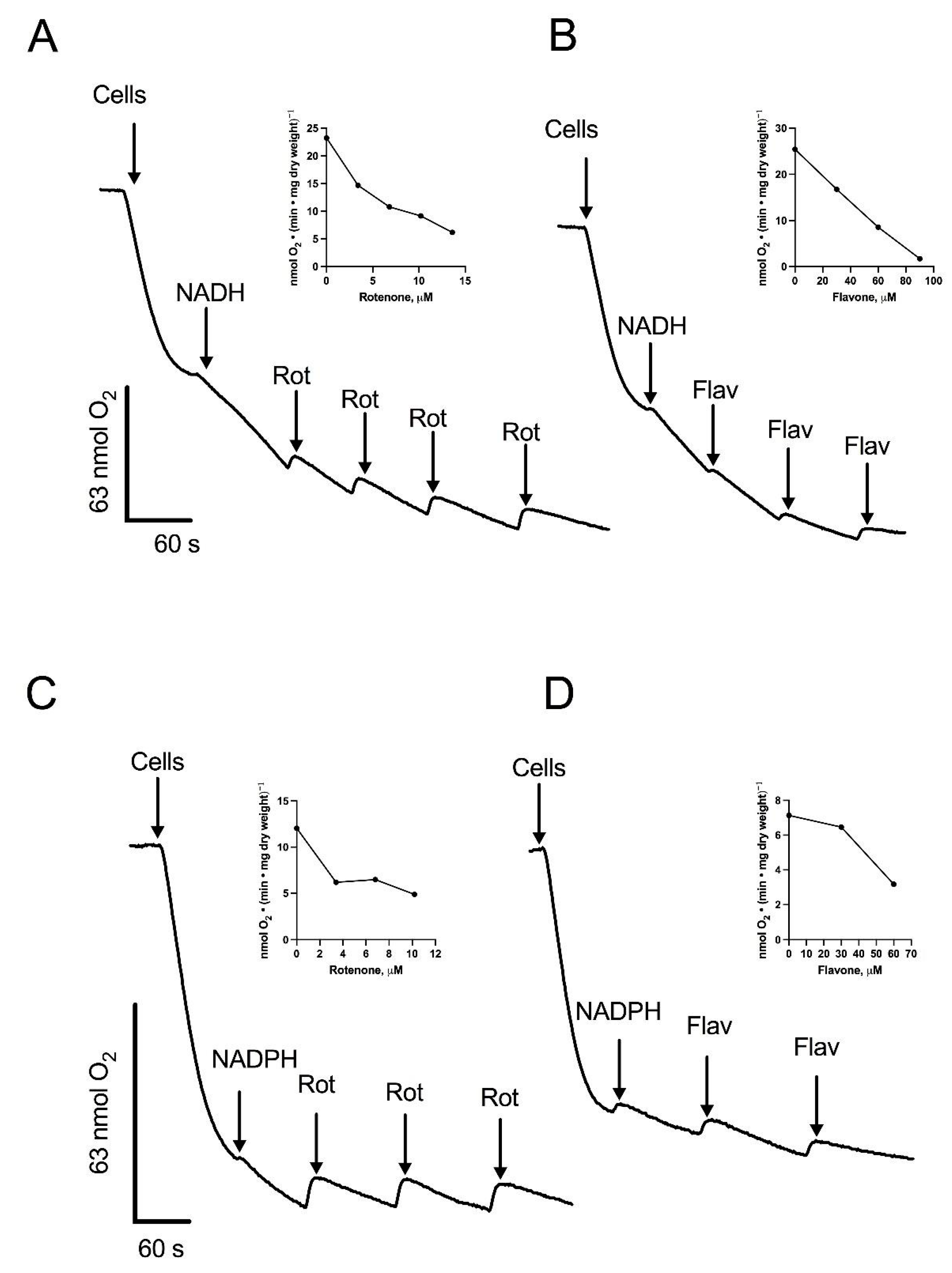 Microorganisms 12 01931 g002 Microorganisms 12 01931 g002