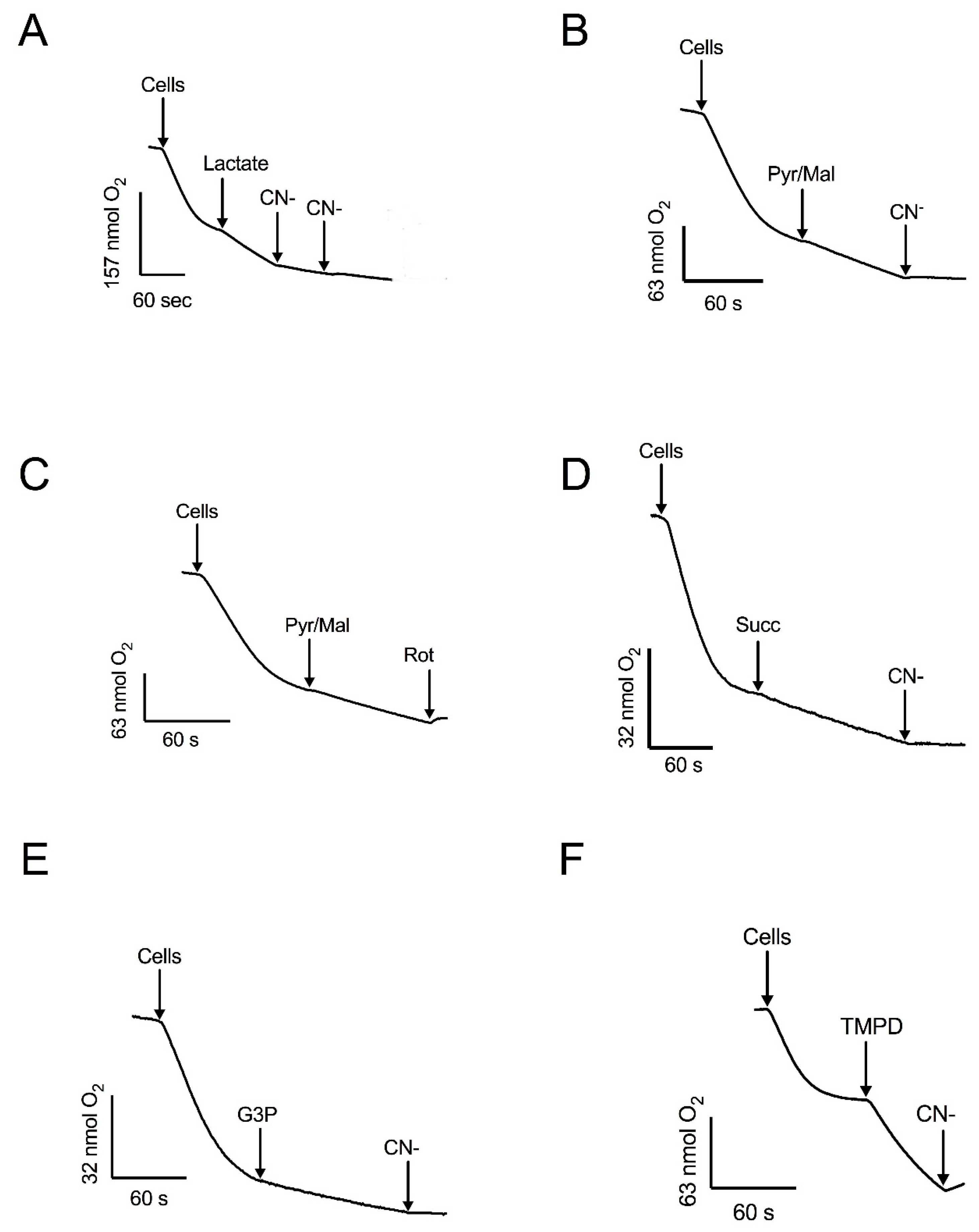 Microorganisms 12 01931 g003 Microorganisms 12 01931 g003