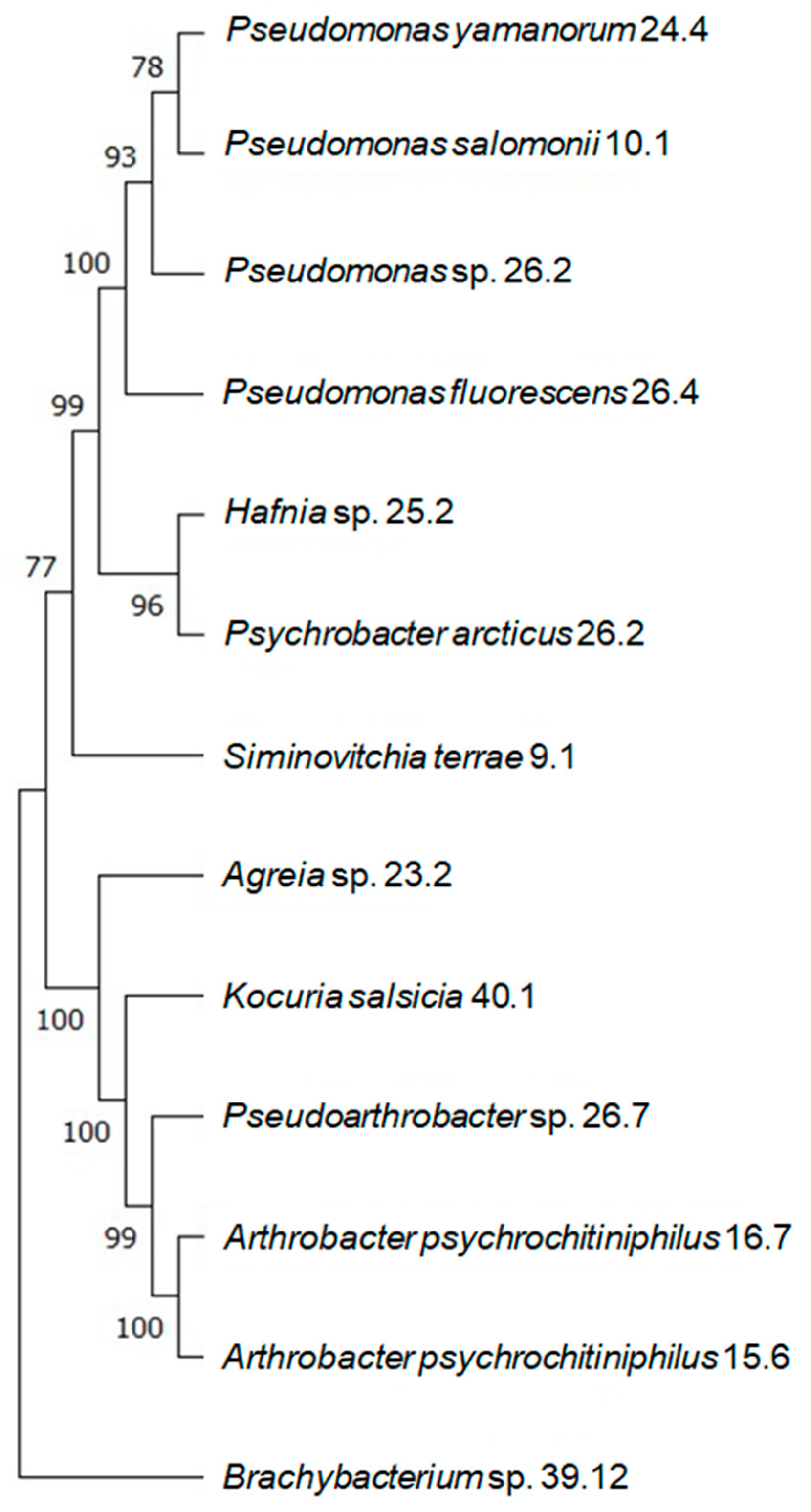 Microorganisms 12 01938 g002