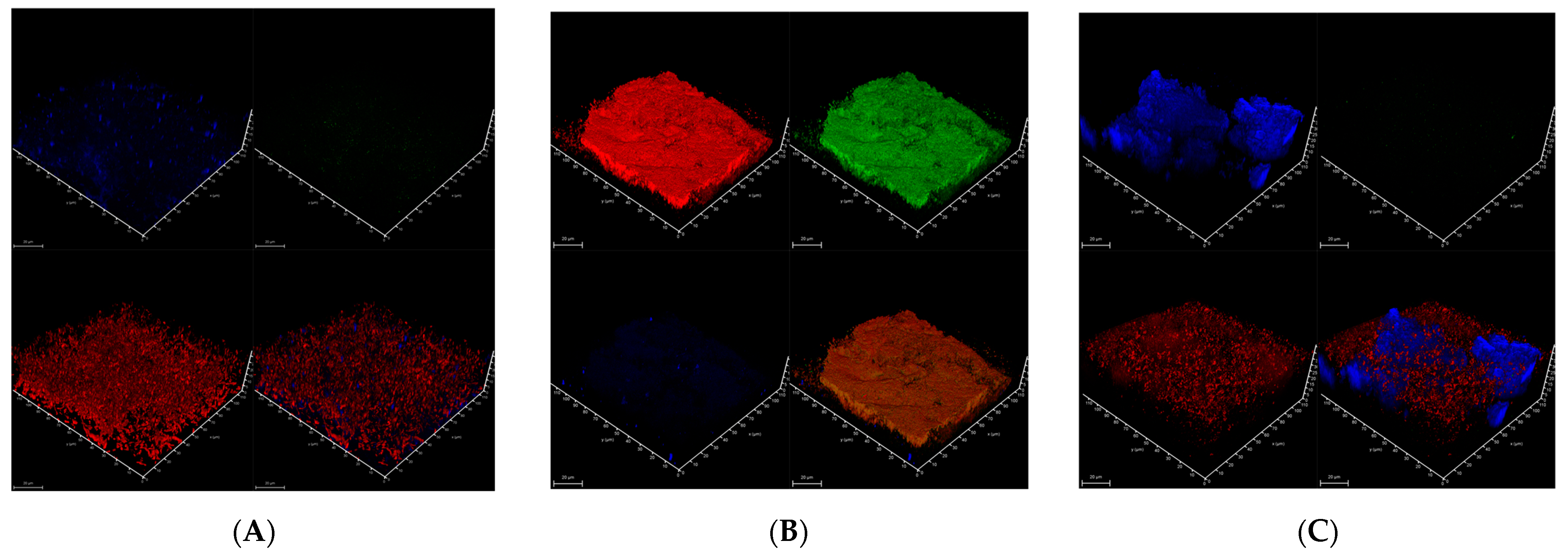 Microorganisms 12 01938 g006