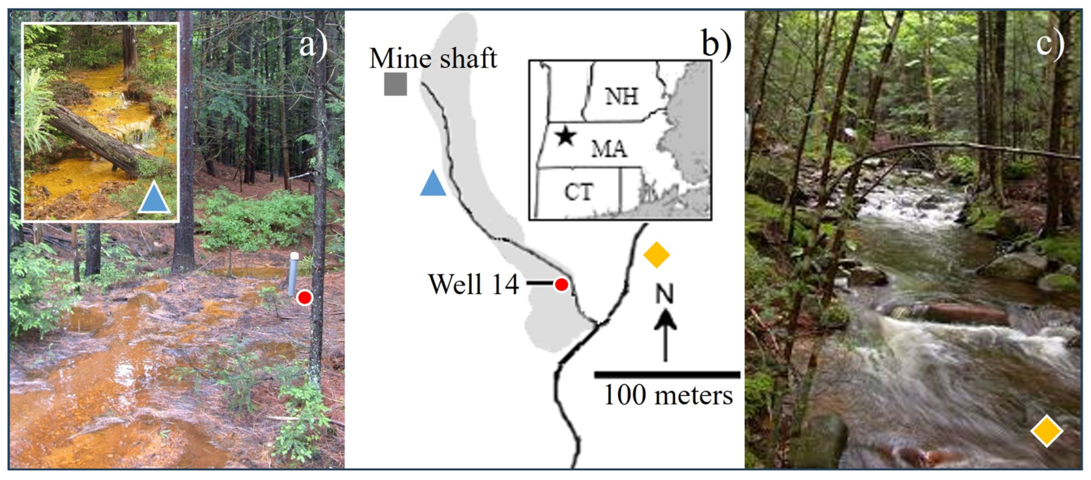 Microorganisms 12 01939 g001