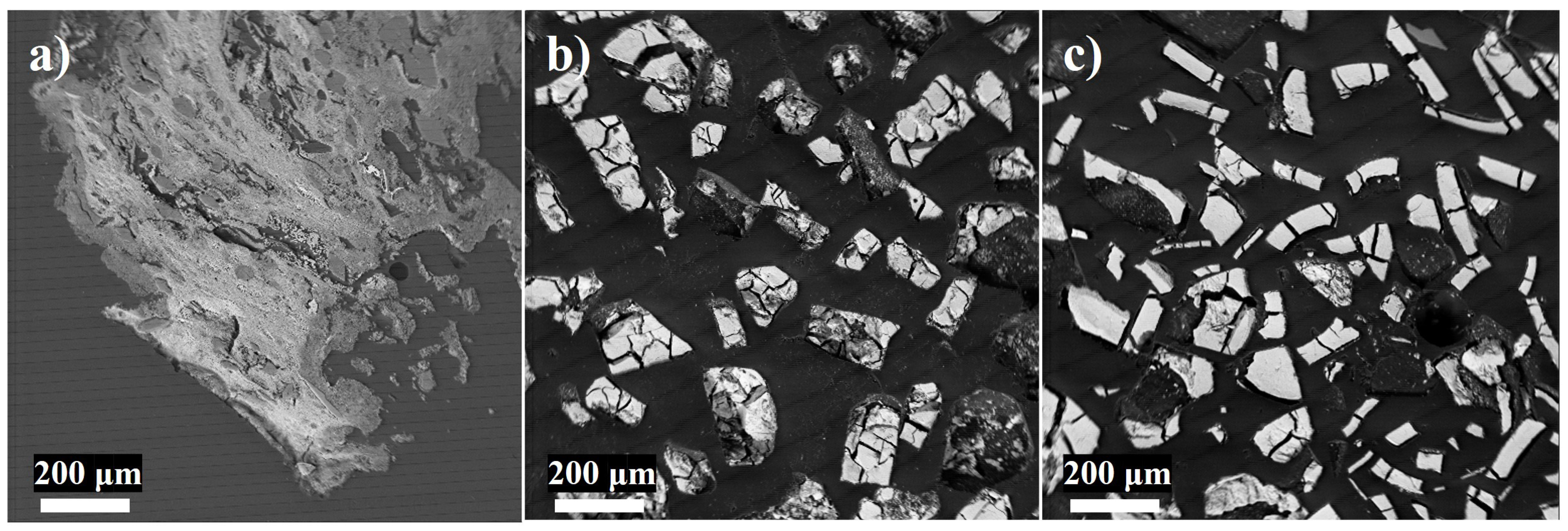Microorganisms 12 01939 g005