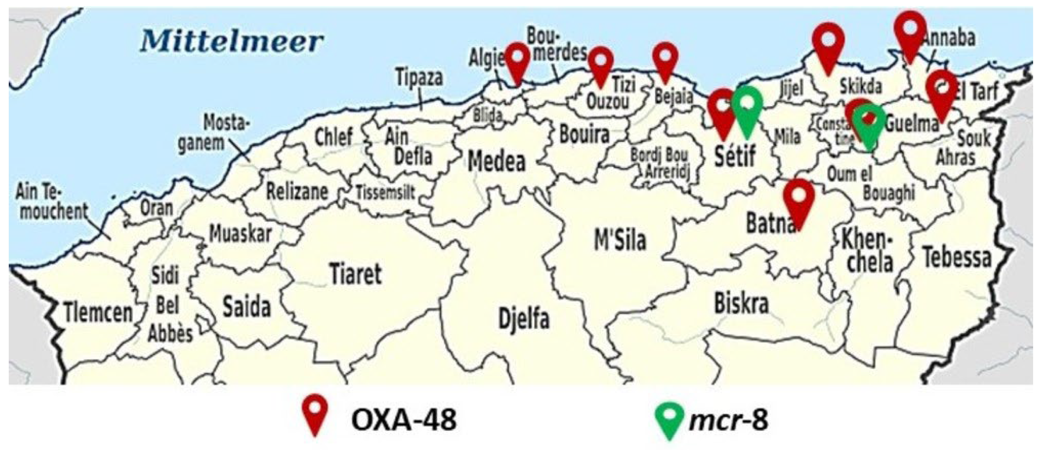Microorganisms 12 01942 g004