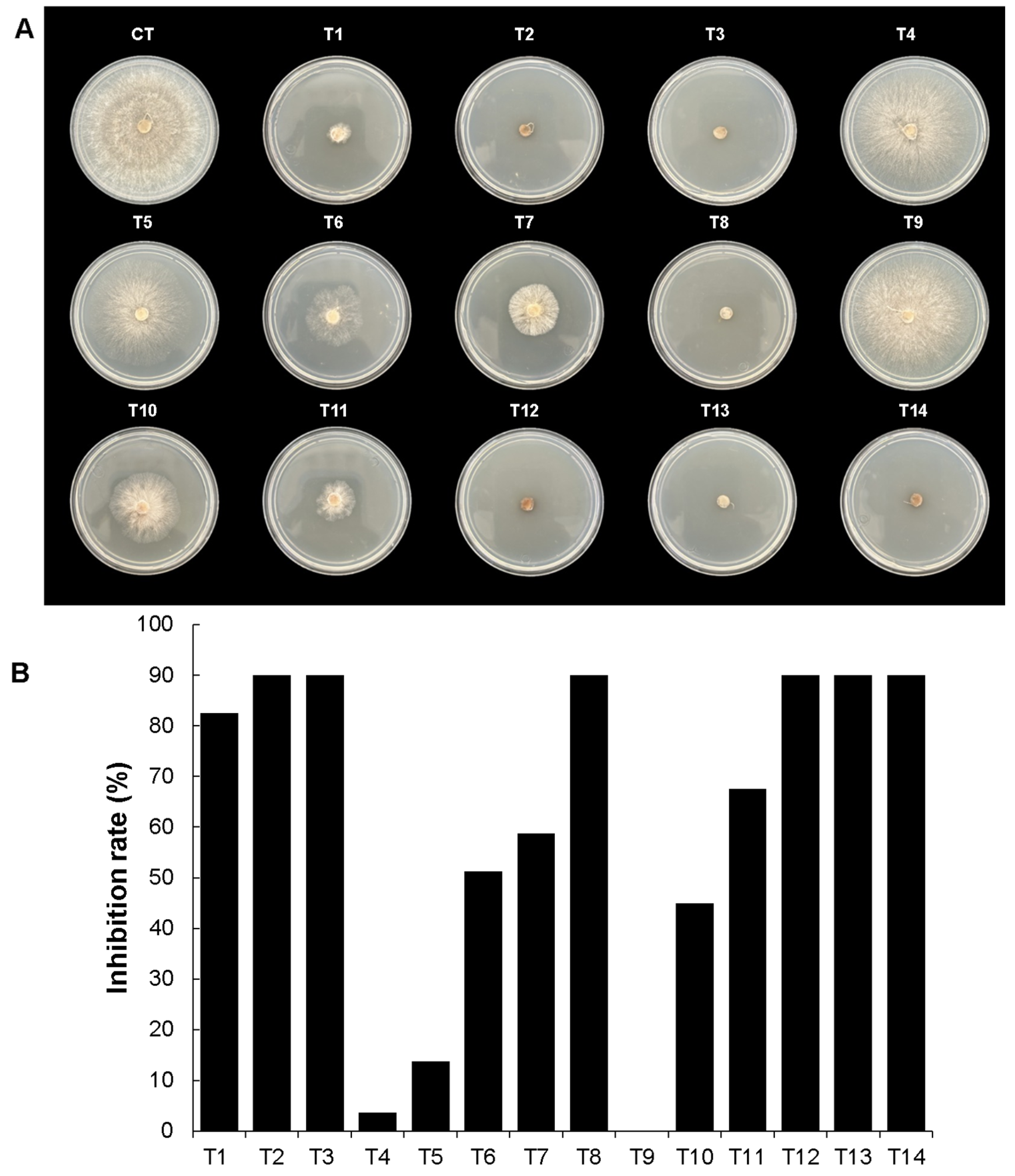 Microorganisms 12 01943 g010