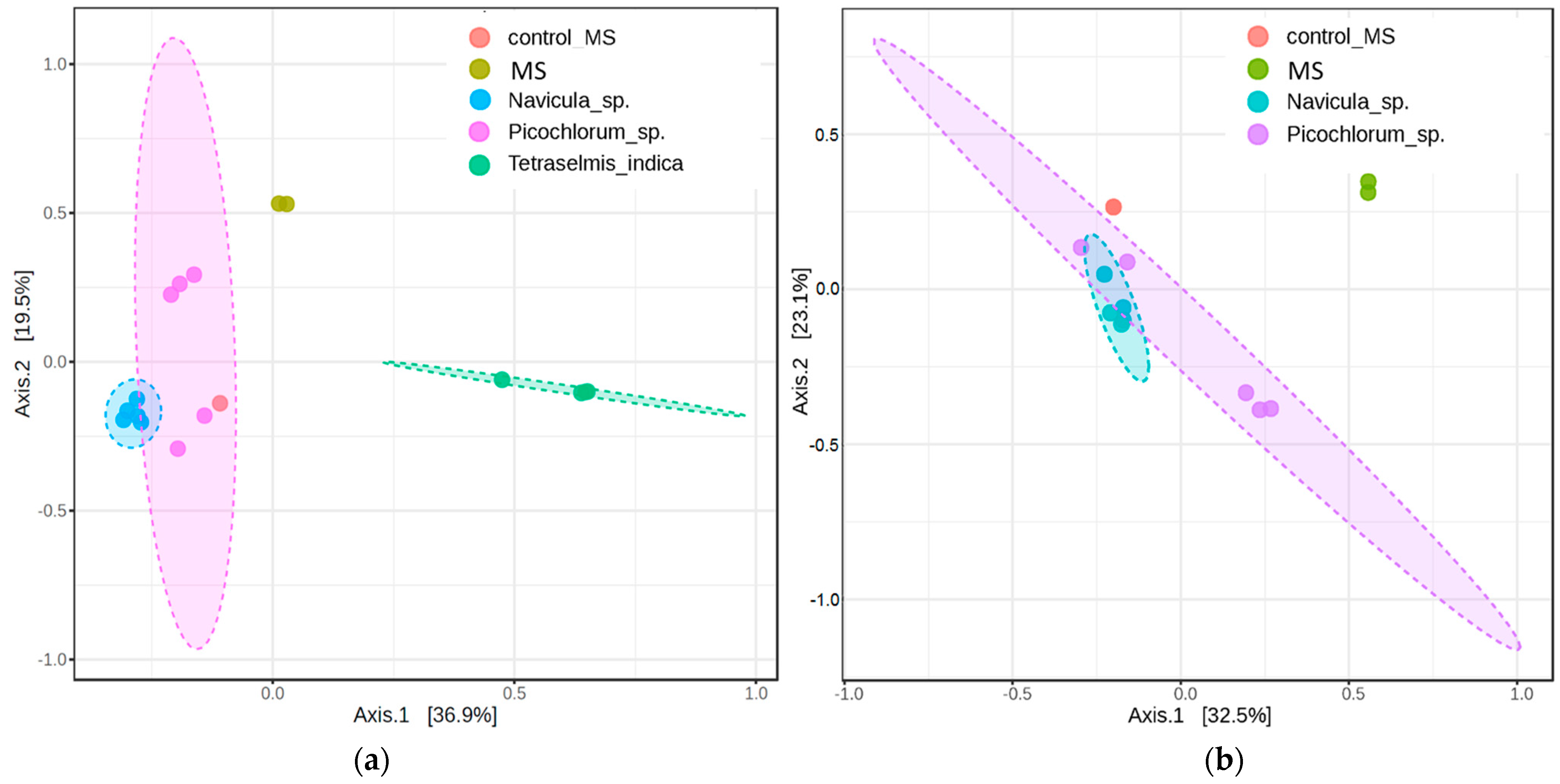 Microorganisms 12 01947 g004 Microorganisms 12 01947 g004