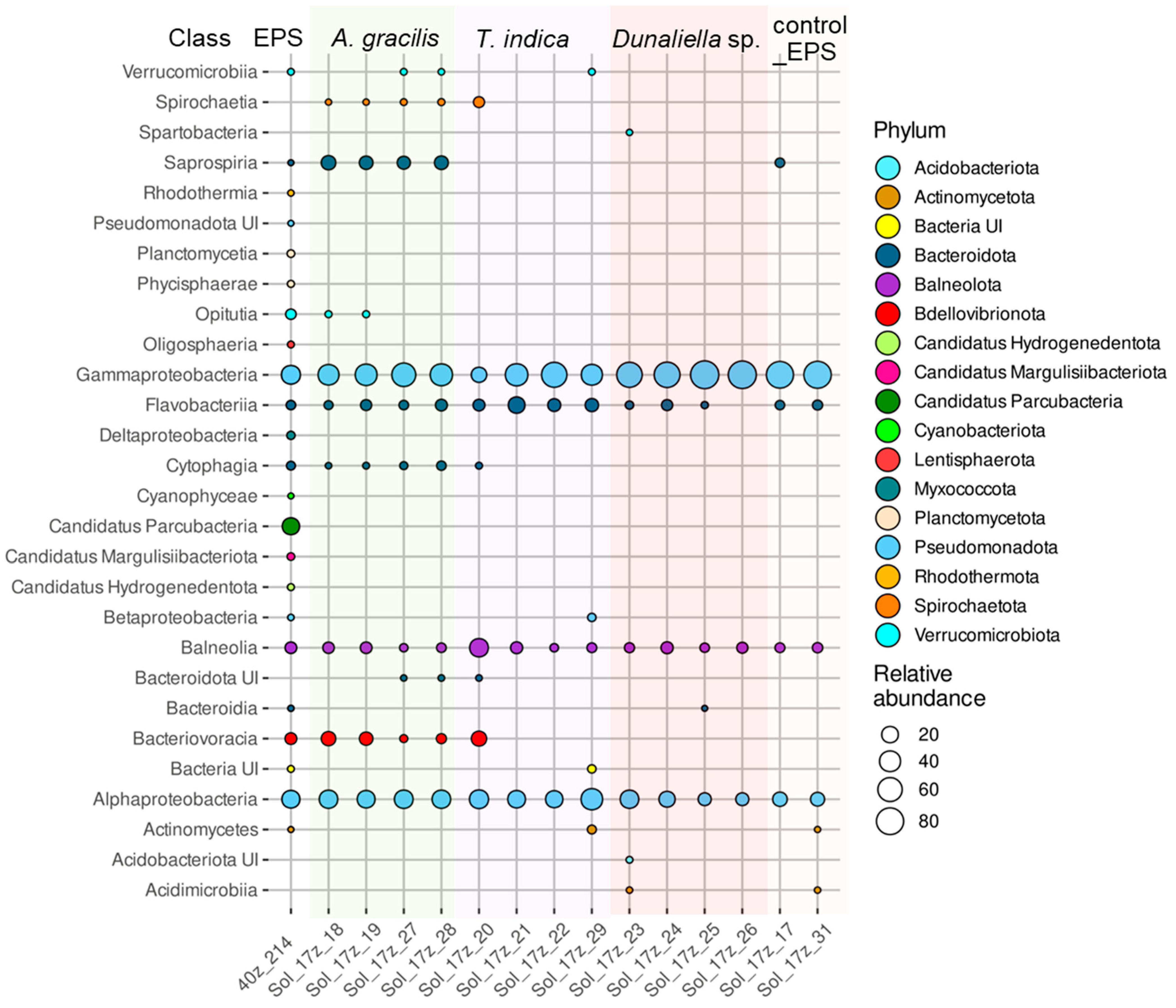 Microorganisms 12 01947 g005 Microorganisms 12 01947 g005