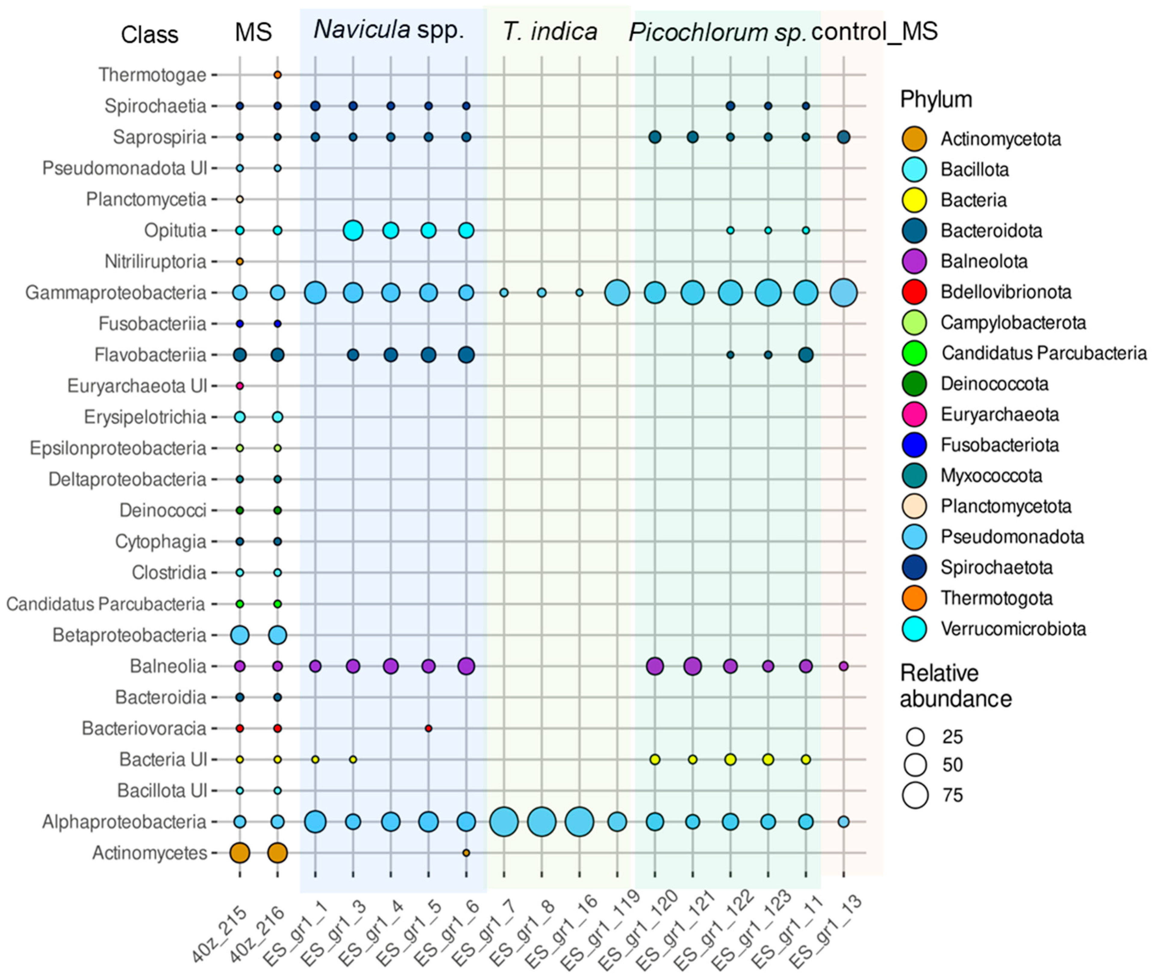 Microorganisms 12 01947 g006 Microorganisms 12 01947 g006