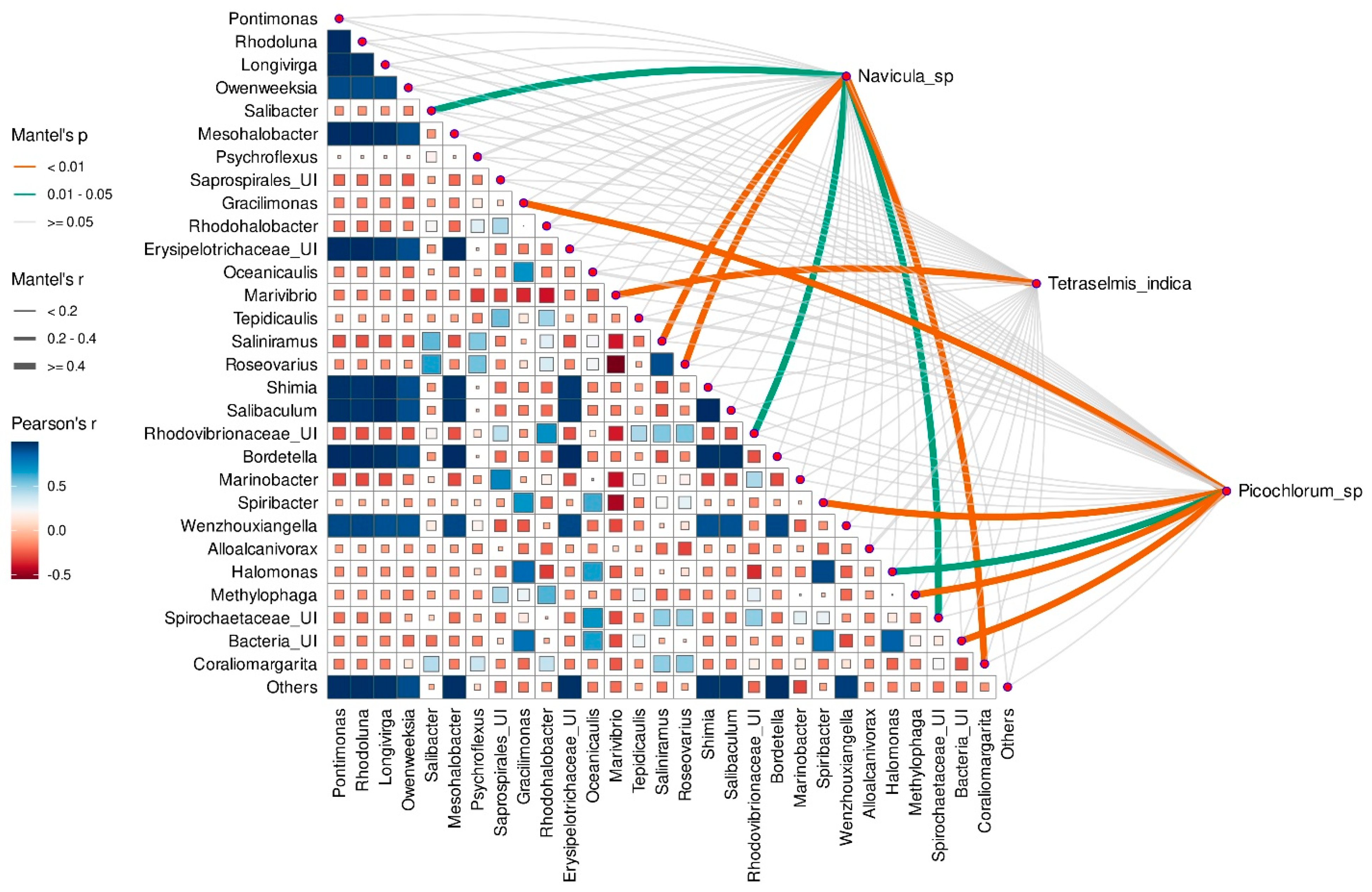 Microorganisms 12 01947 g008 Microorganisms 12 01947 g008