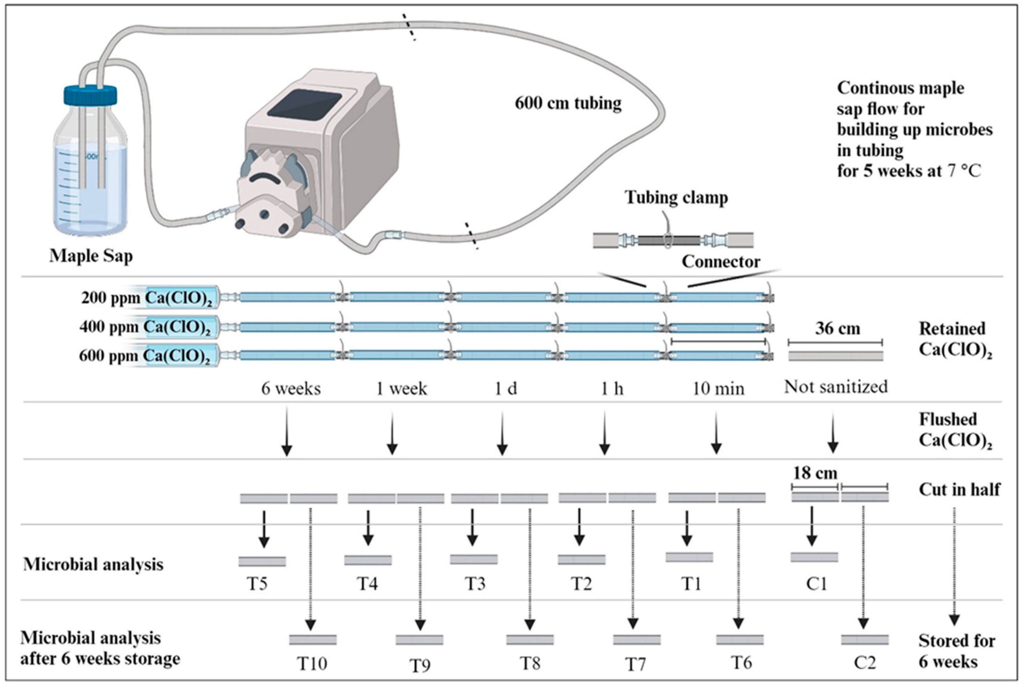 Microorganisms 12 01948 g001