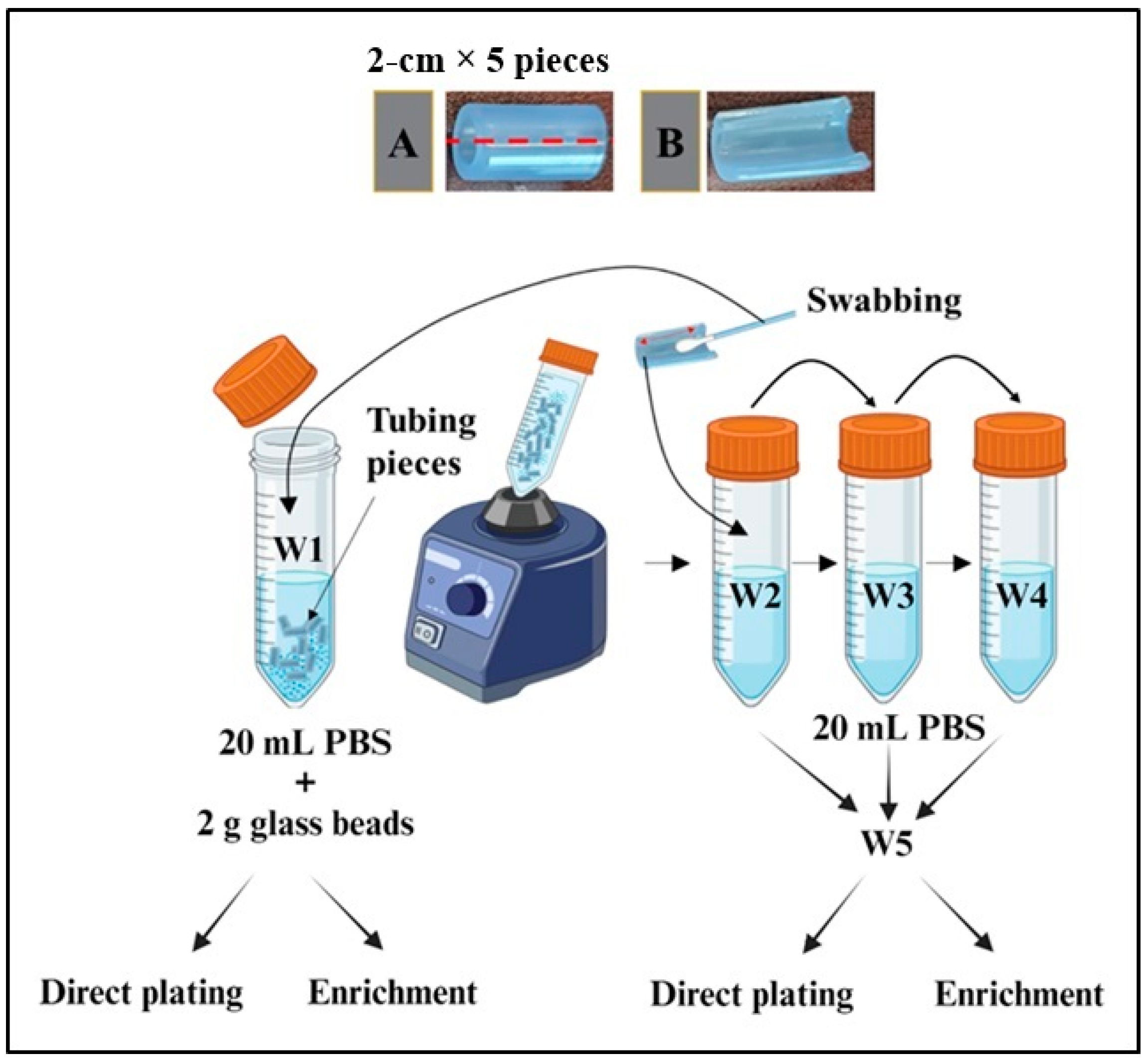 Microorganisms 12 01948 g002