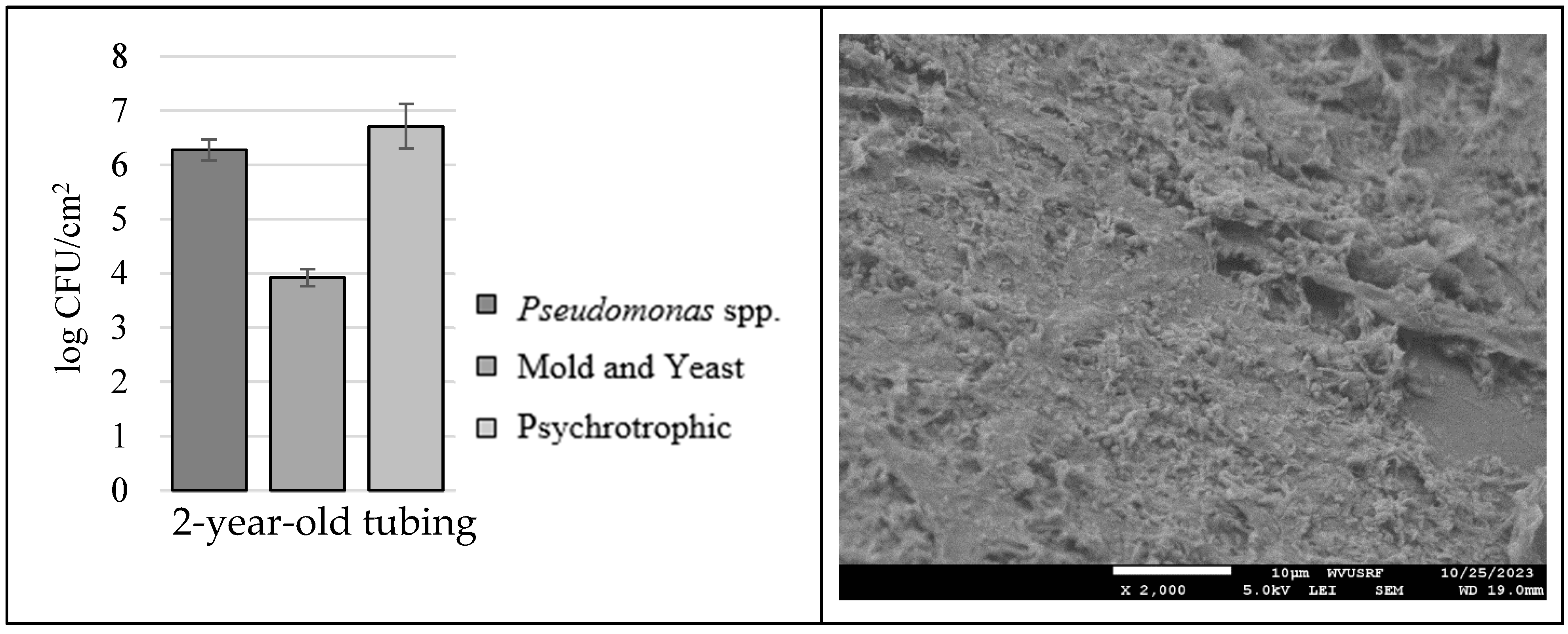 Microorganisms 12 01948 g007
