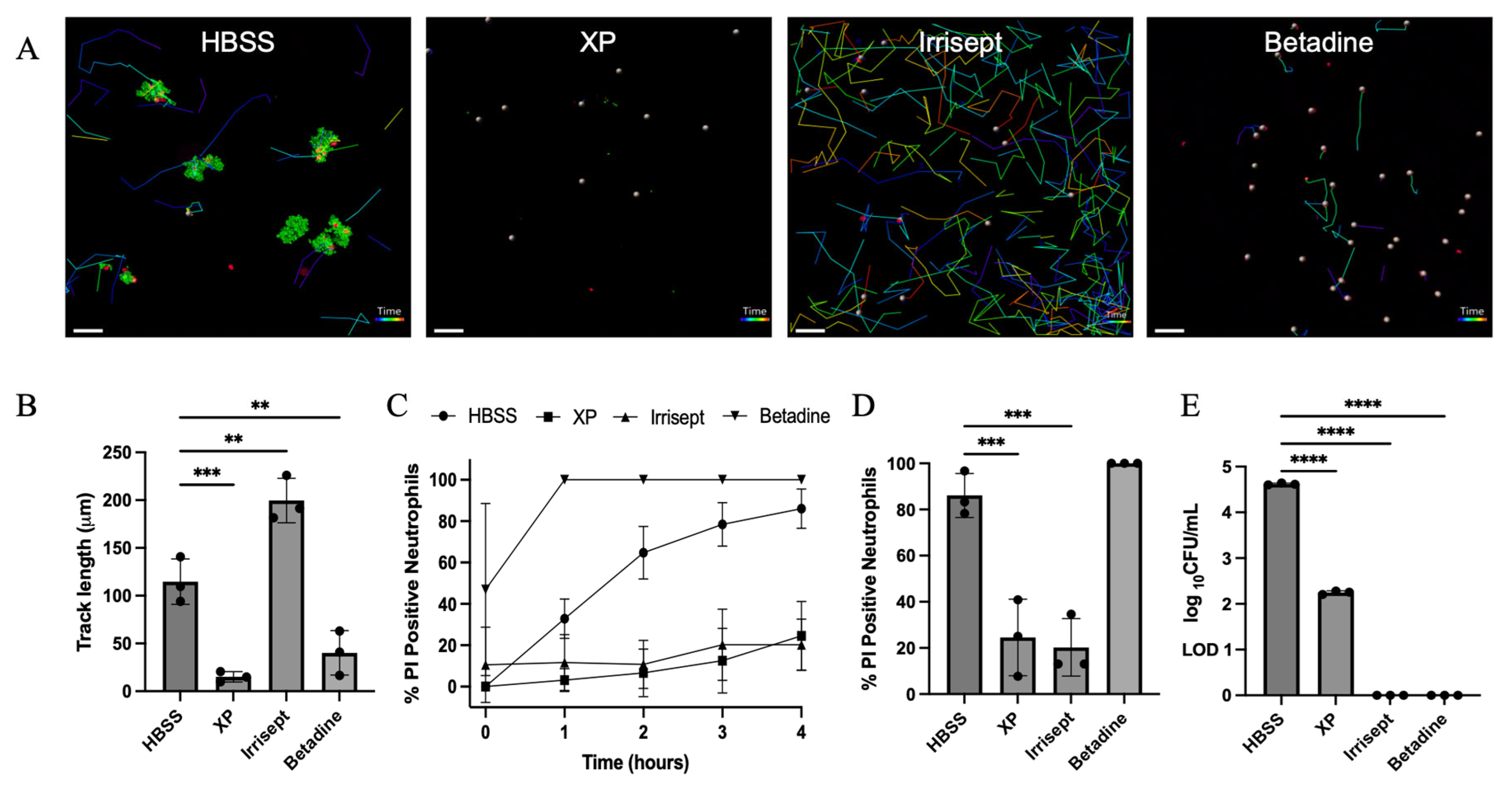 Microorganisms 12 01951 g004